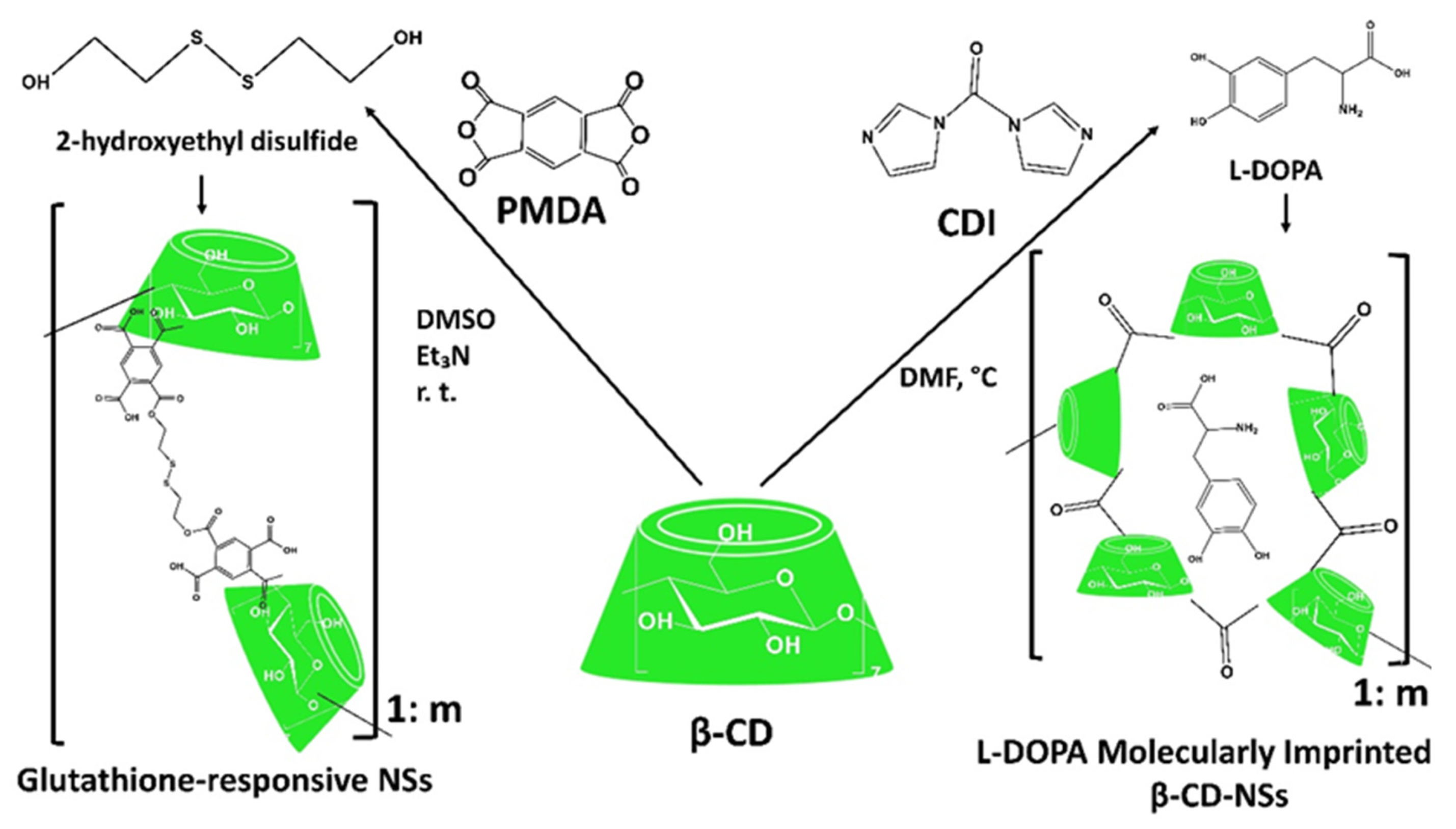 Ijms 23 04102 g014 Ijms 23 04102 g014