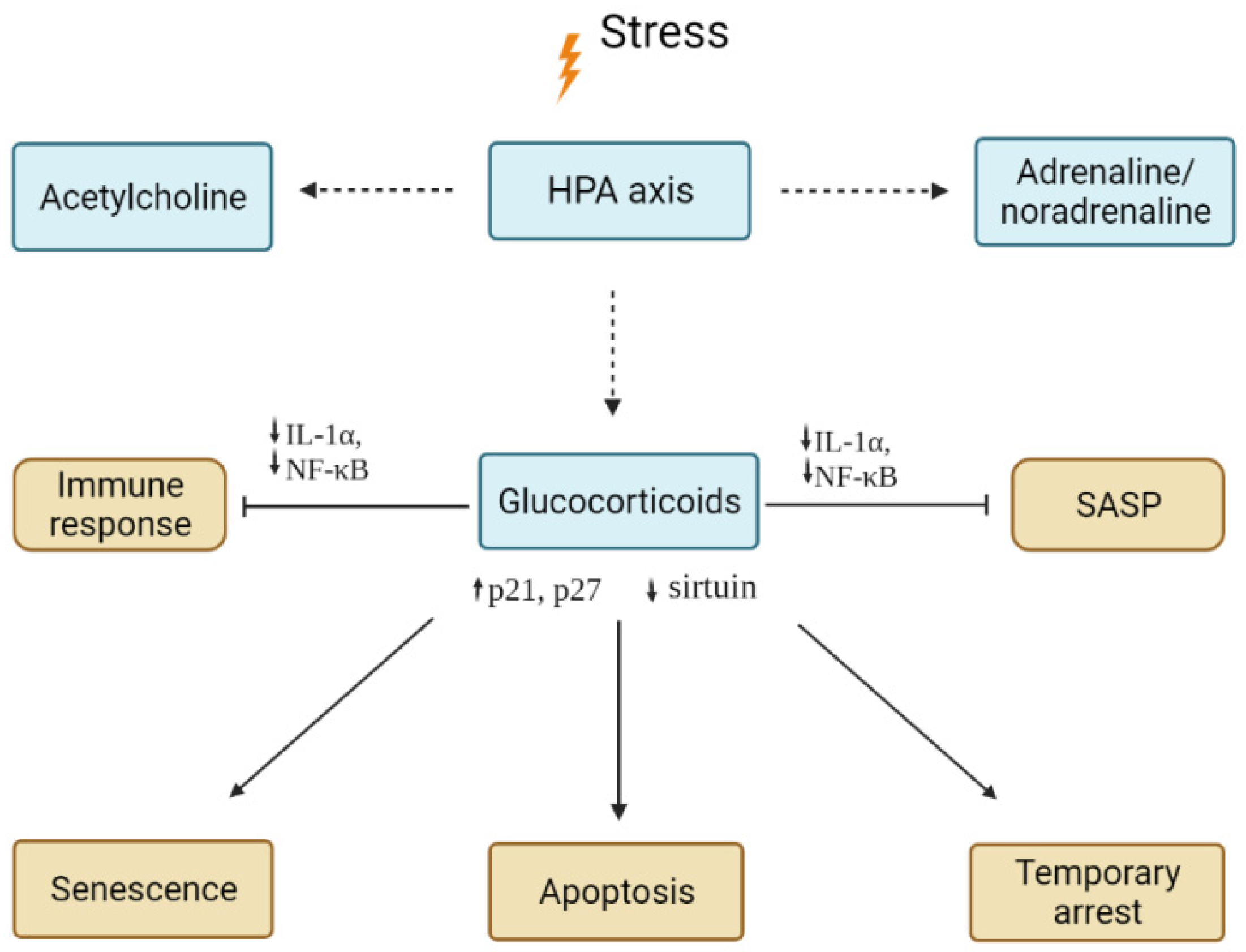 Ijms 23 04109 g002 Ijms 23 04109 g002