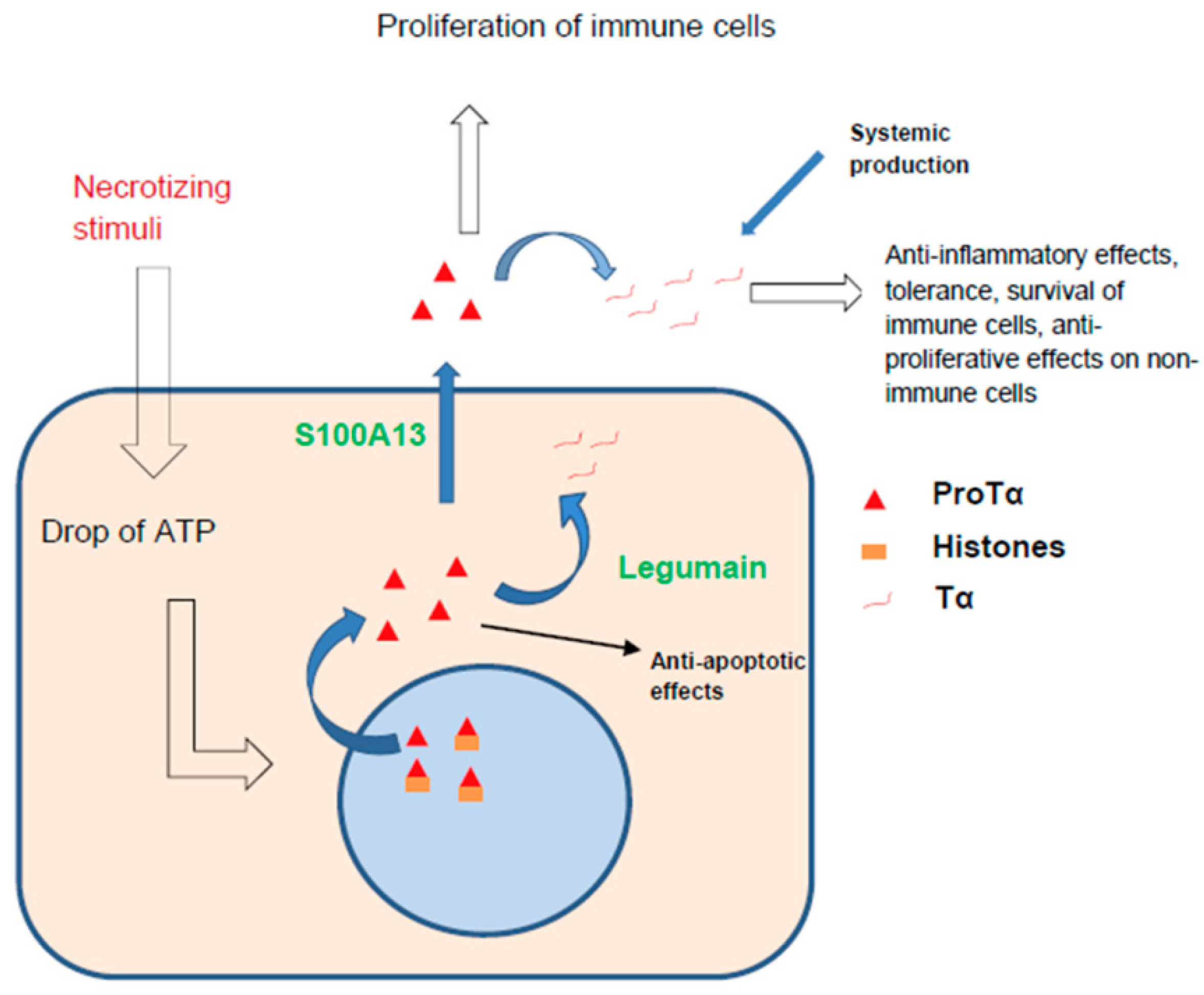Ijms 23 04109 g005 Ijms 23 04109 g005