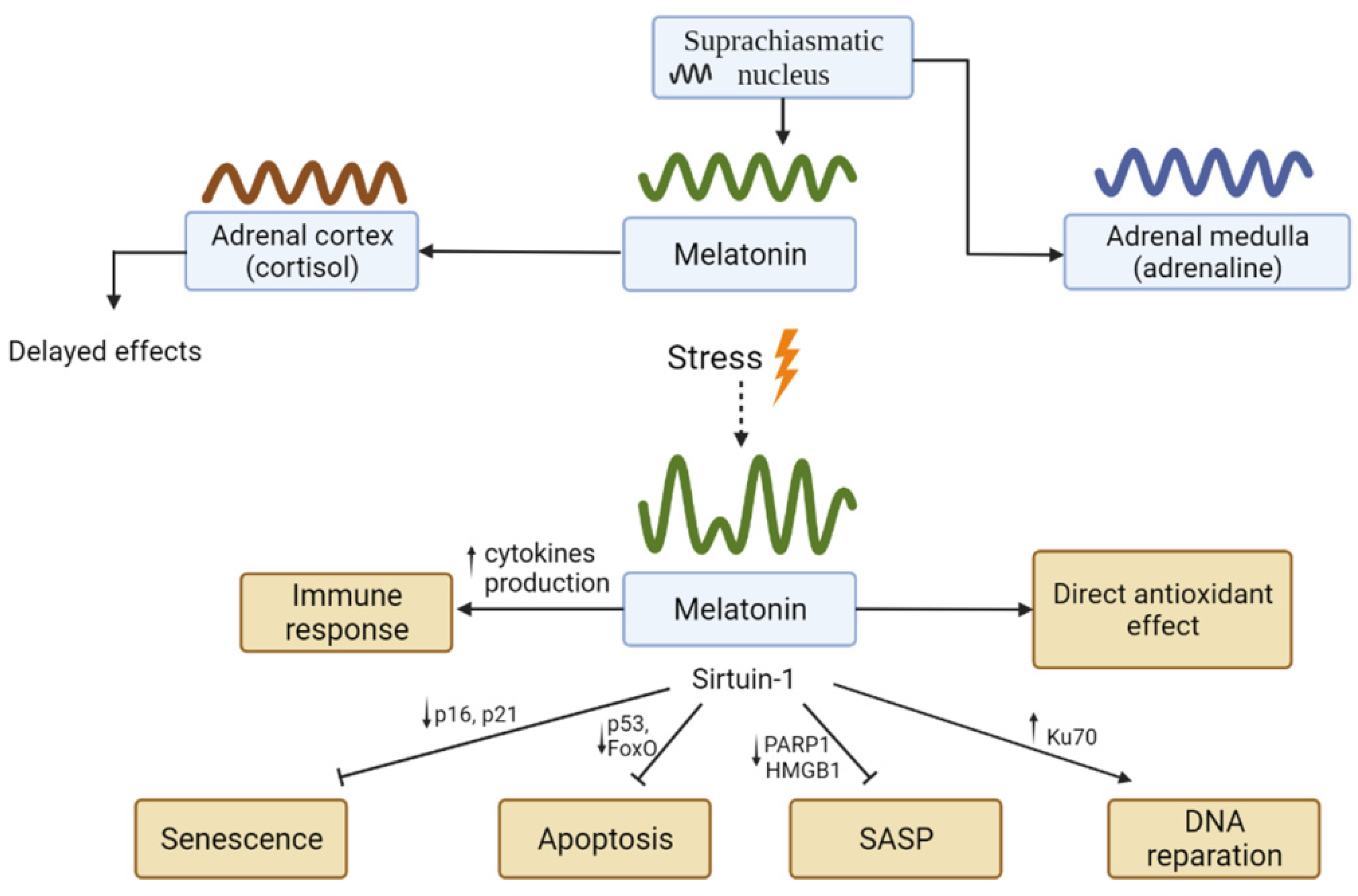 Ijms 23 04109 g008 Ijms 23 04109 g008