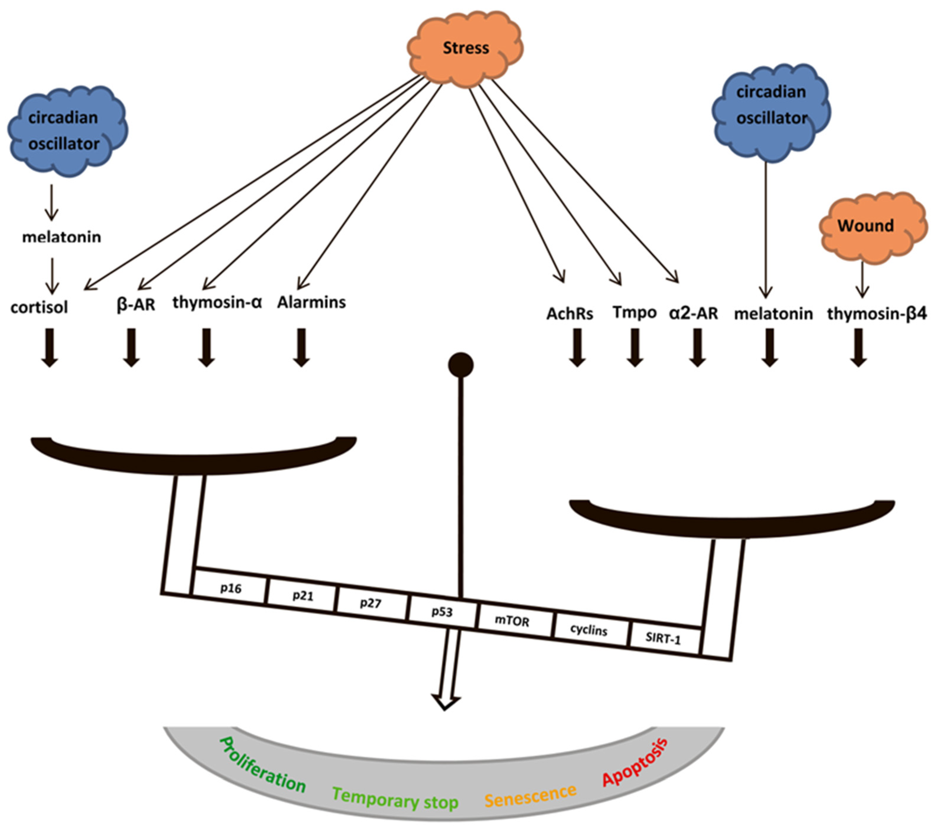 Ijms 23 04109 g009 Ijms 23 04109 g009