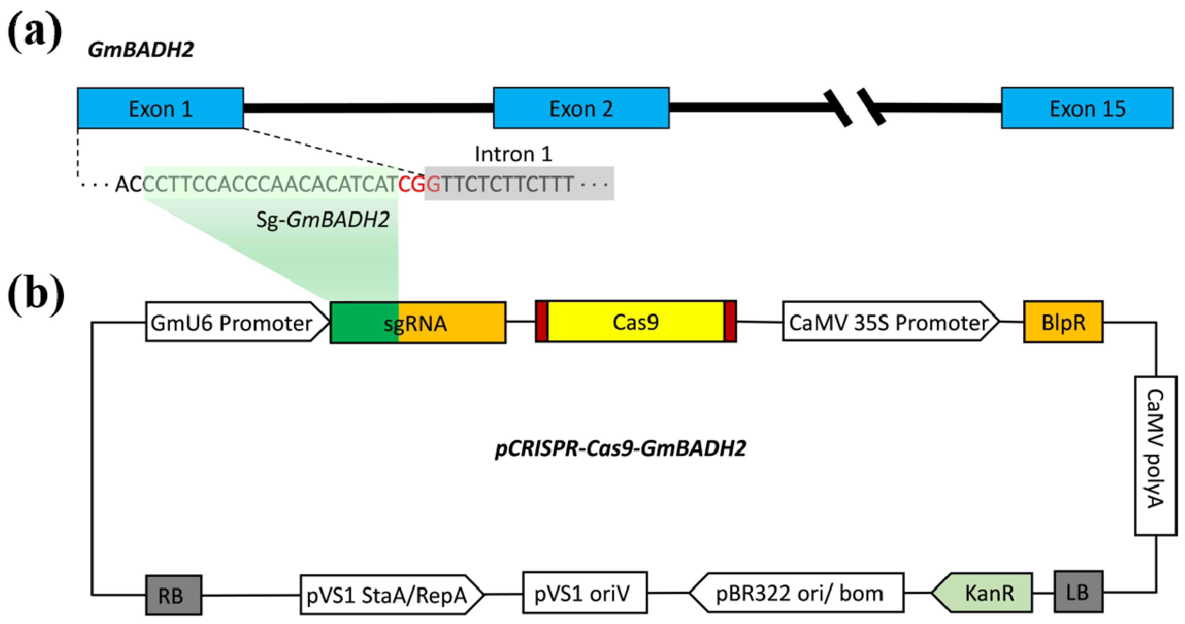 Ijms 23 04116 g003