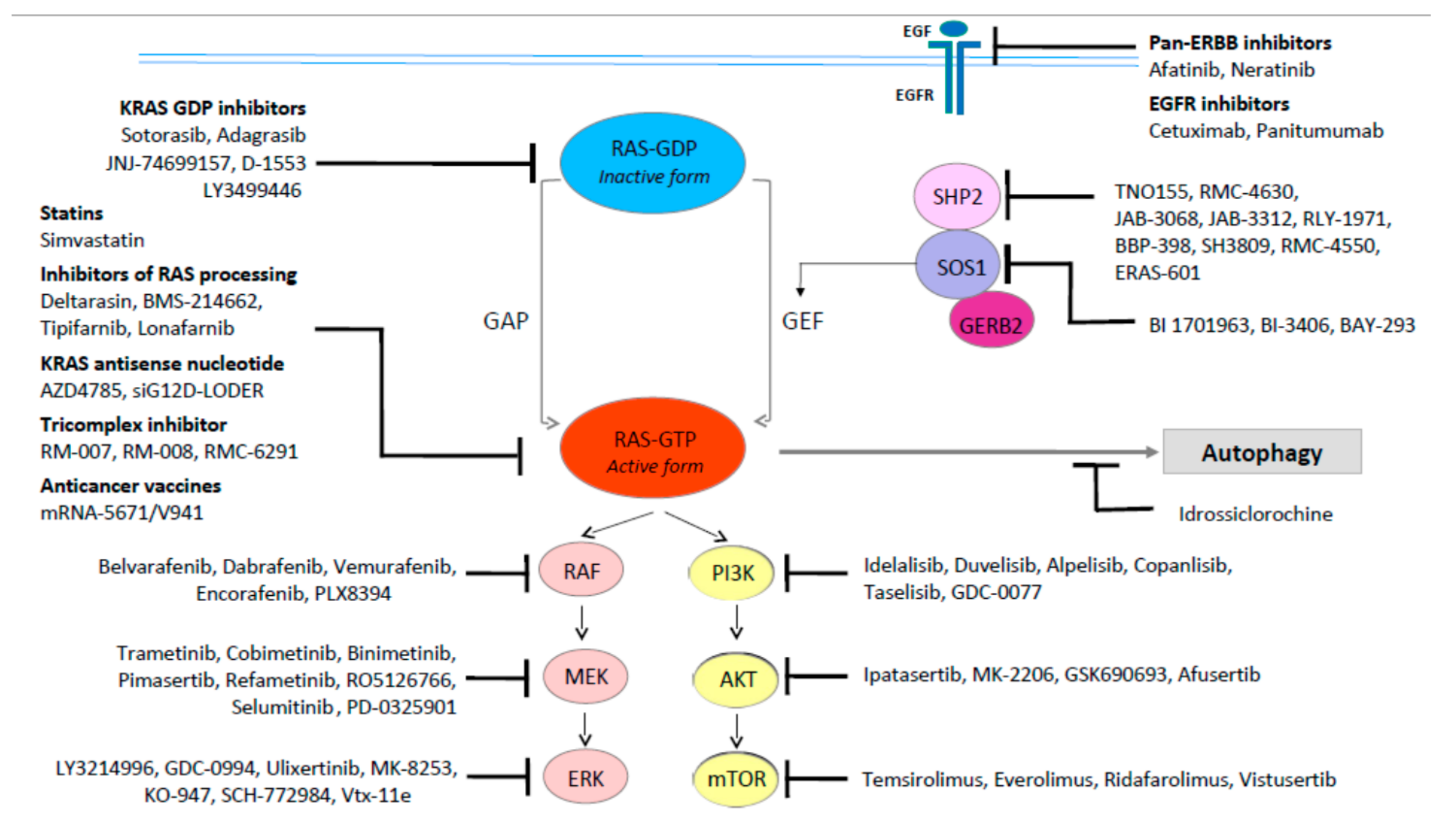 IJMS | Free Full-Text | KRAS: A Druggable Target In Colon Cancer Patients