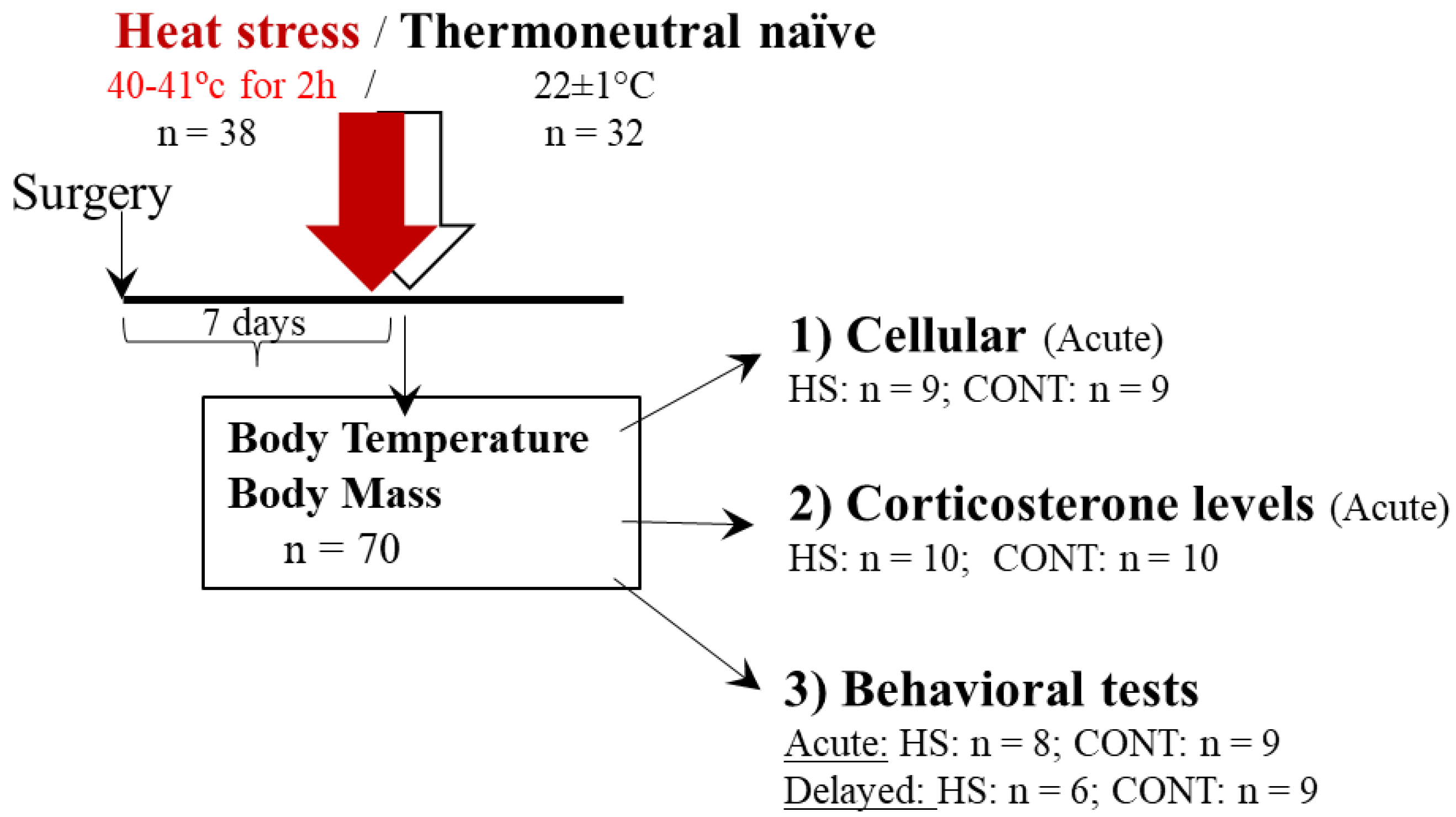 Ijms 23 04129 g001 Ijms 23 04129 g001