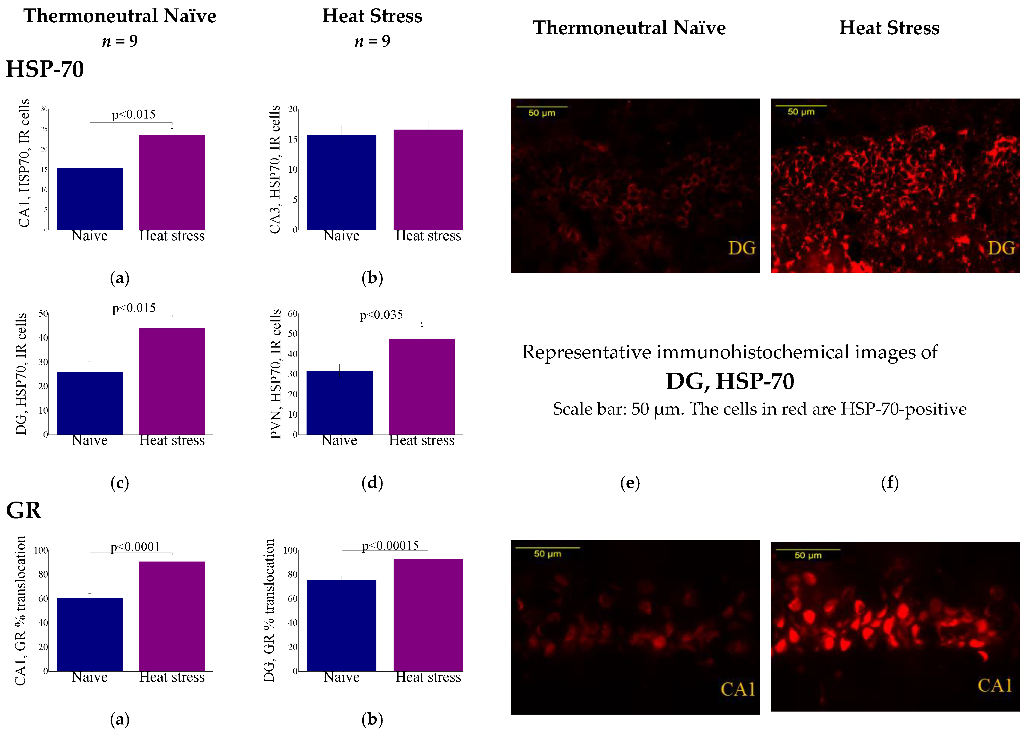 Ijms 23 04129 g003a Ijms 23 04129 g003a
