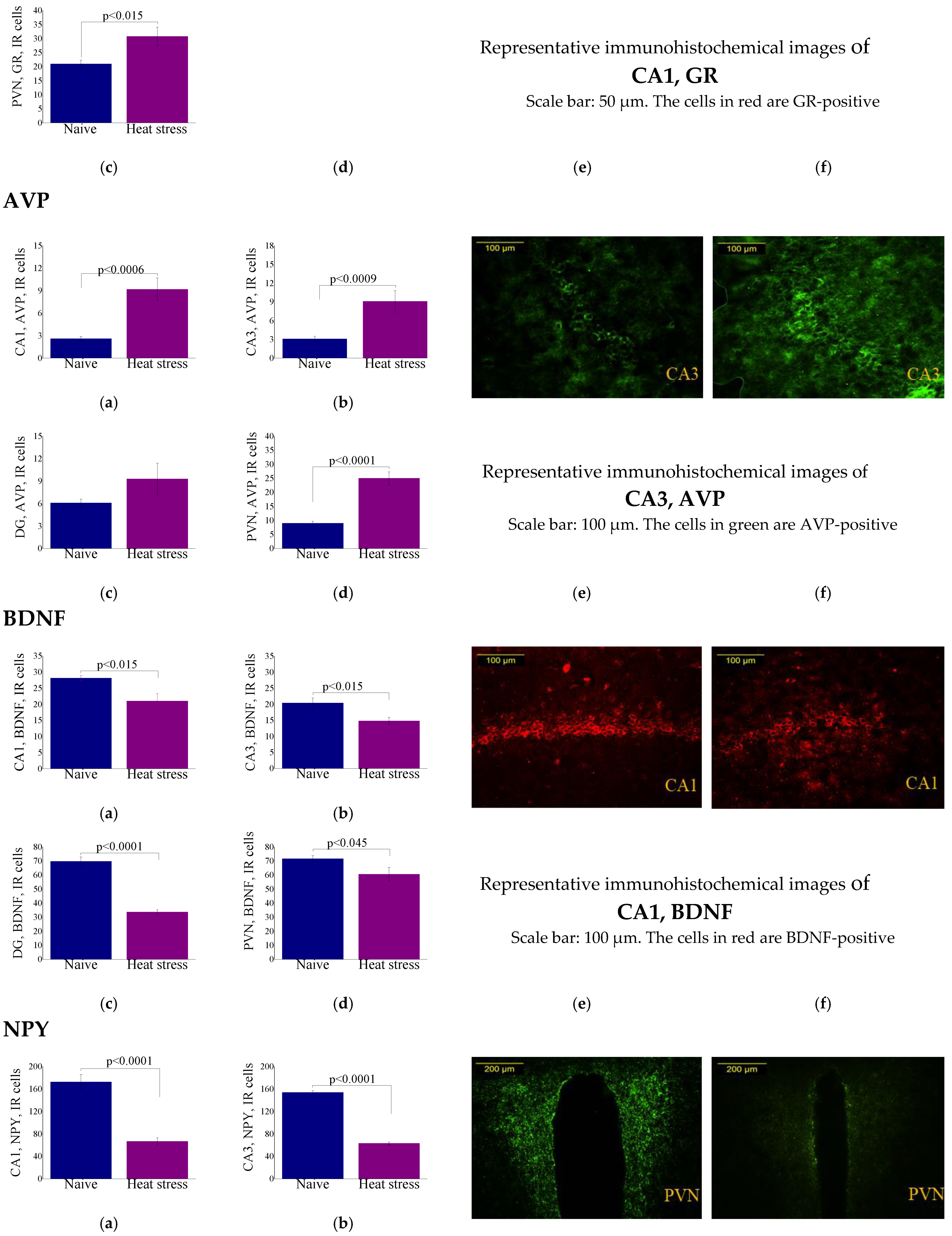 Ijms 23 04129 g003b Ijms 23 04129 g003b