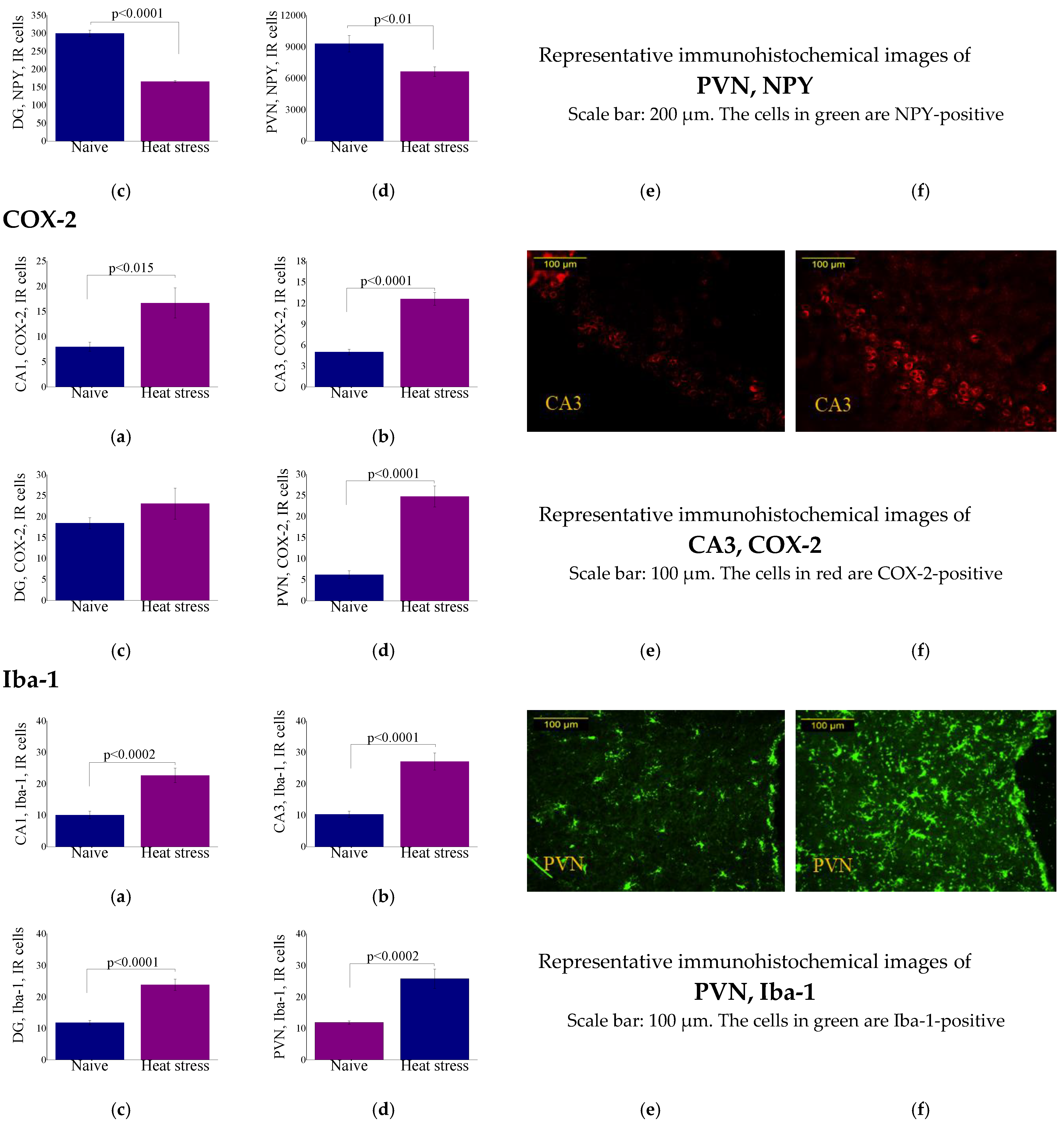 Ijms 23 04129 g003c Ijms 23 04129 g003c