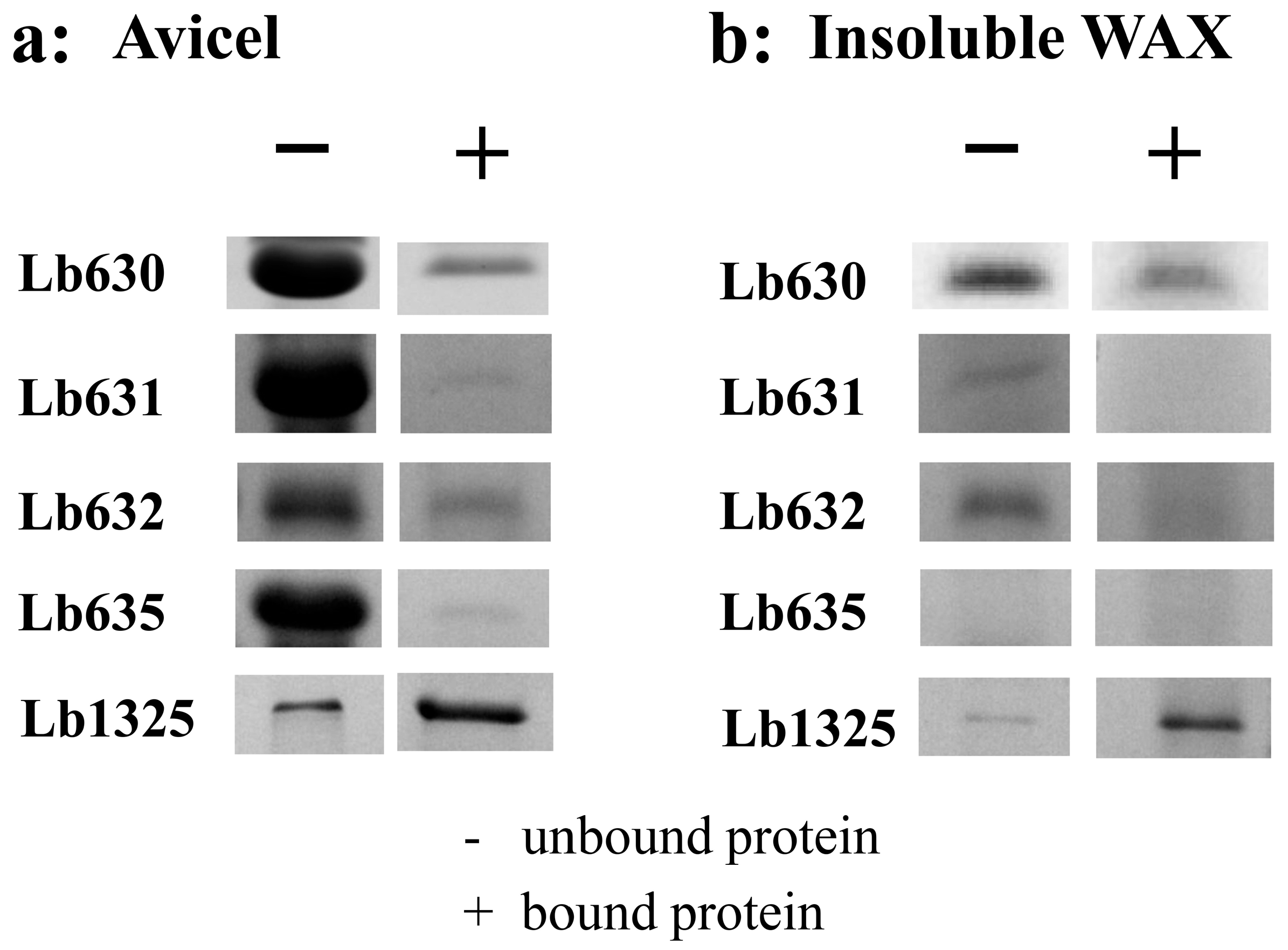 Ijms 23 04136 g003 Ijms 23 04136 g003
