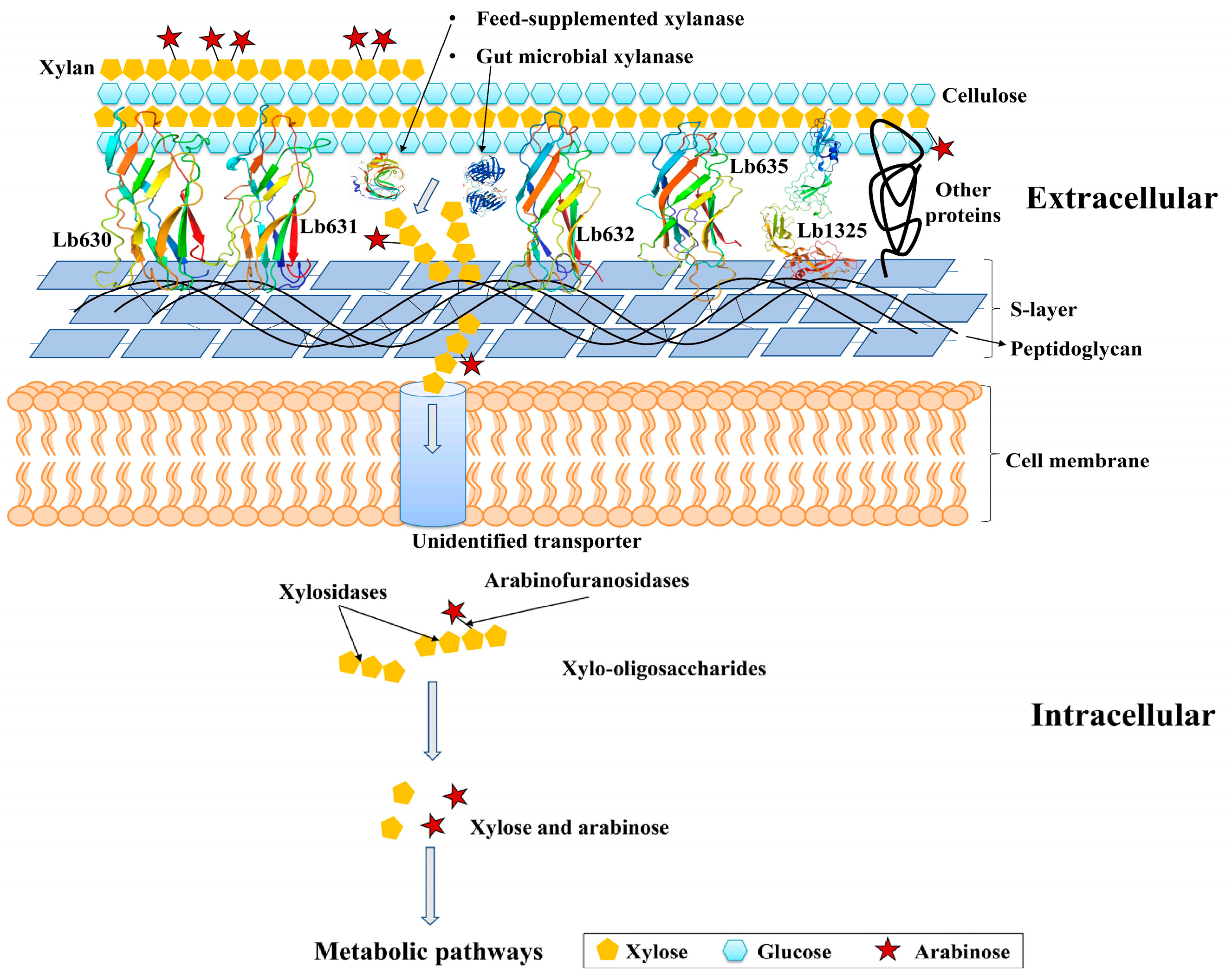 Ijms 23 04136 g006 Ijms 23 04136 g006