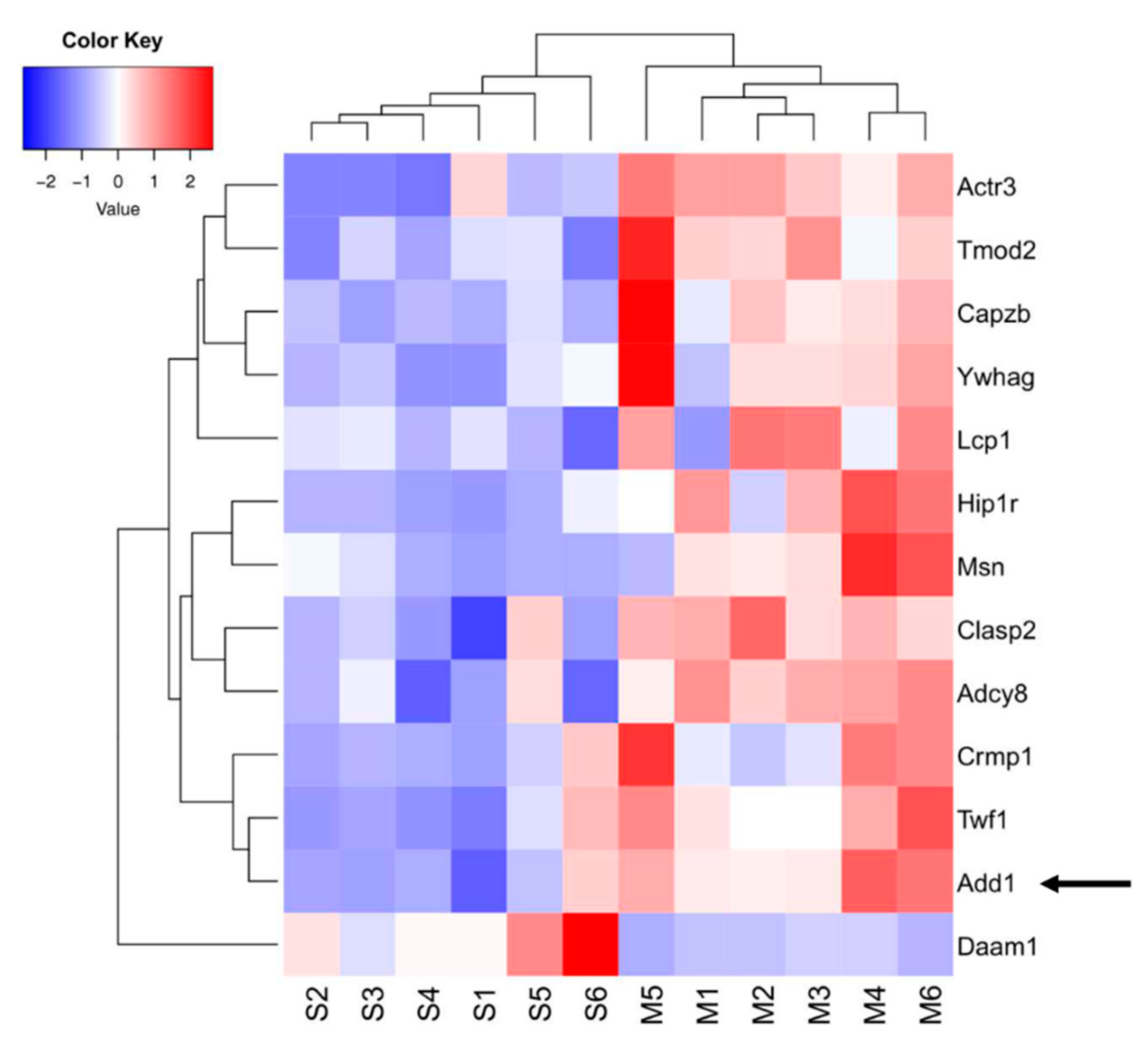 Ijms 23 04137 g004 Ijms 23 04137 g004