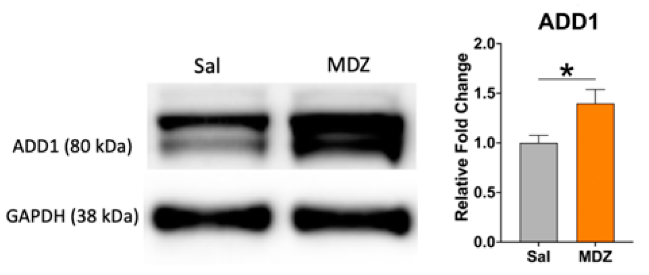 Ijms 23 04137 g005 Ijms 23 04137 g005