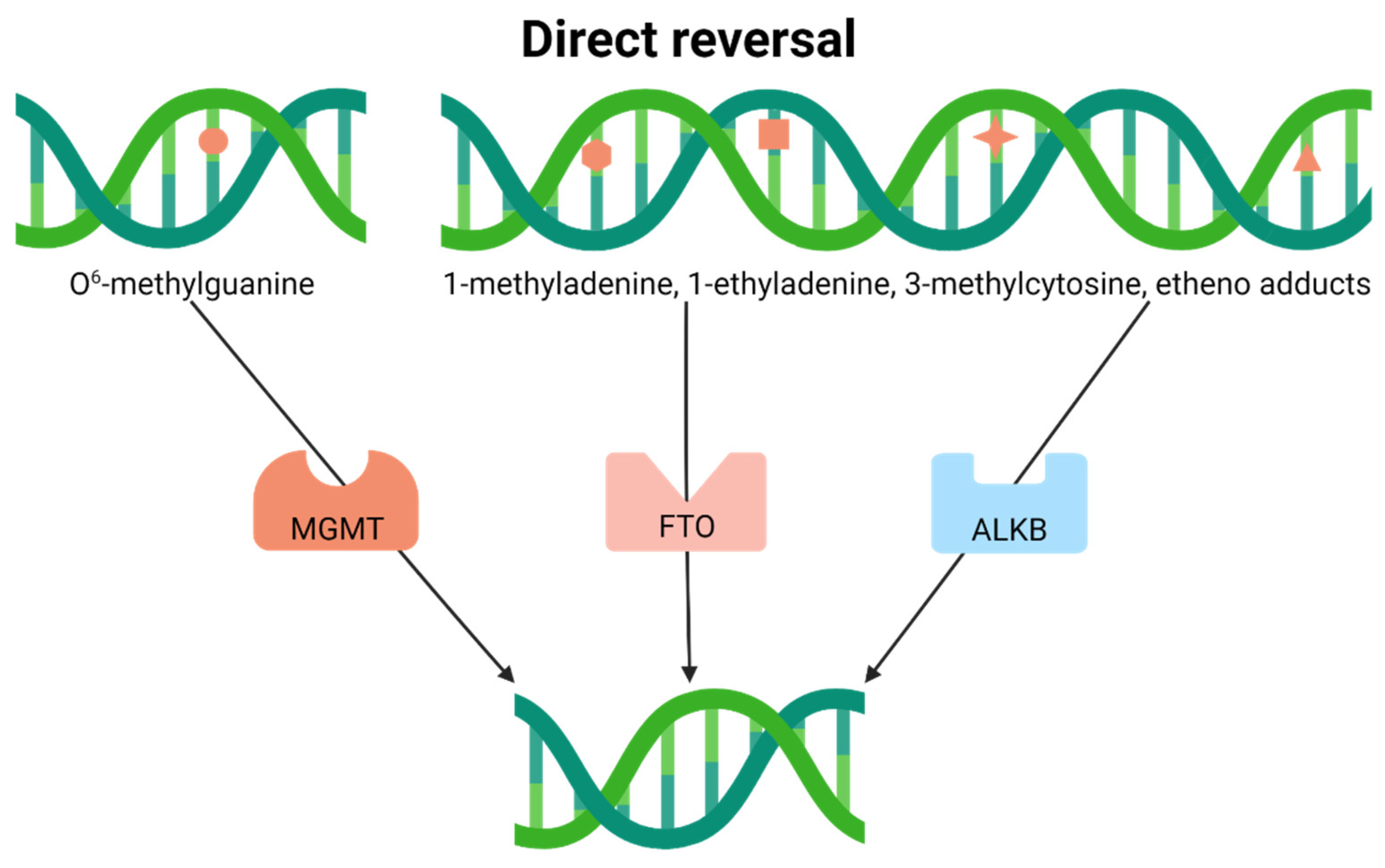 Ijms 23 04142 g002 Ijms 23 04142 g002