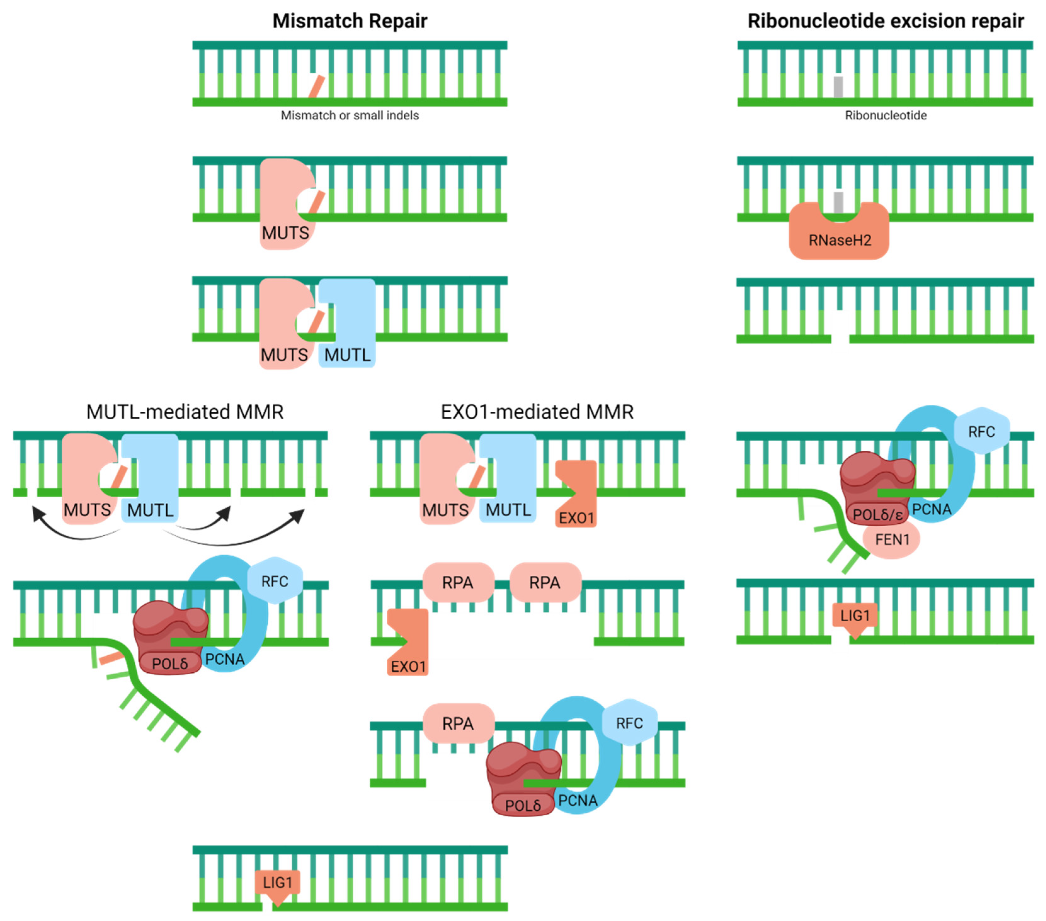 Ijms 23 04142 g003 Ijms 23 04142 g003