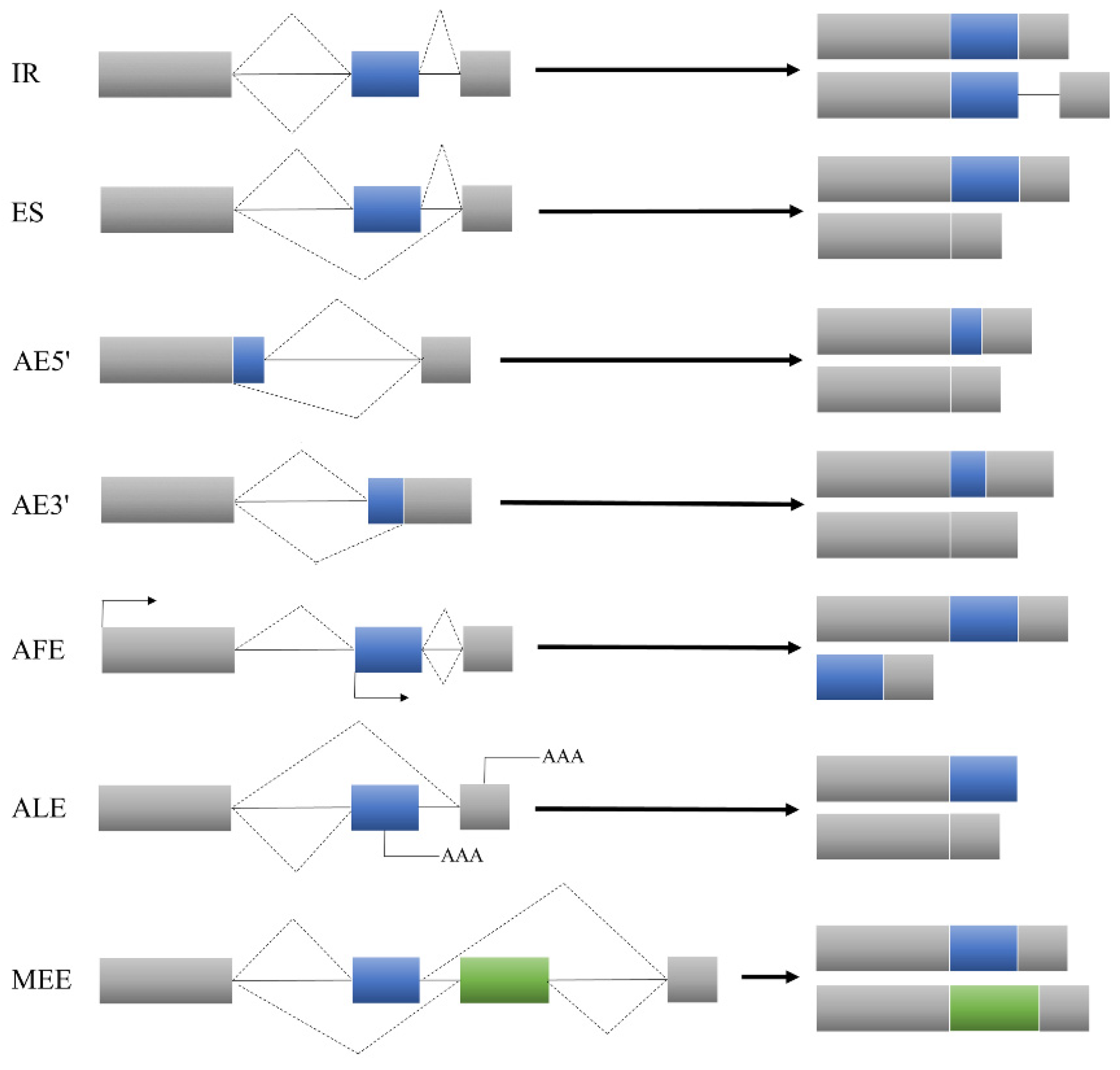 File:Cut splice.PNG - Wikimedia Commons