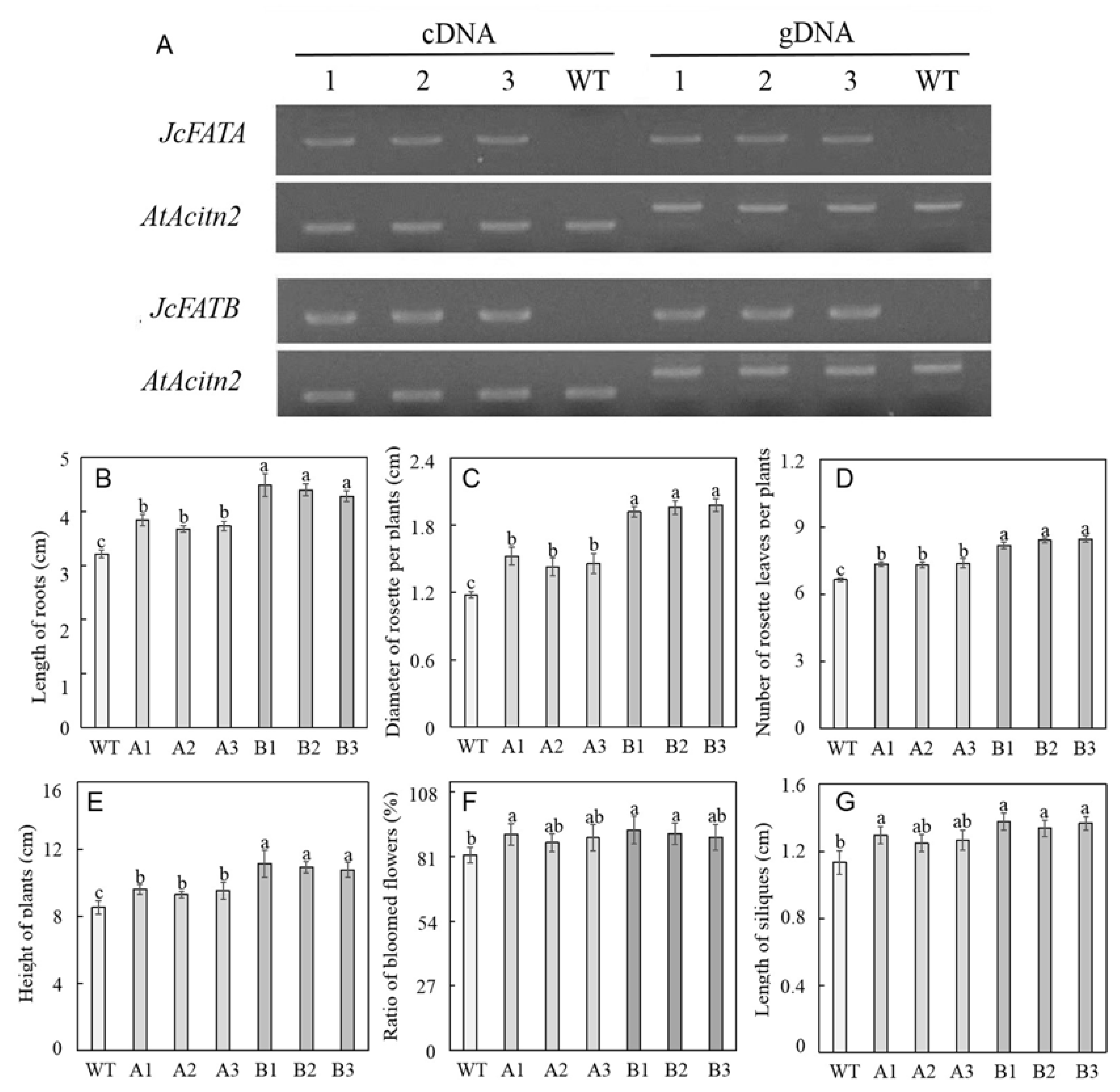 Ijms 23 04209 g004 Ijms 23 04209 g004