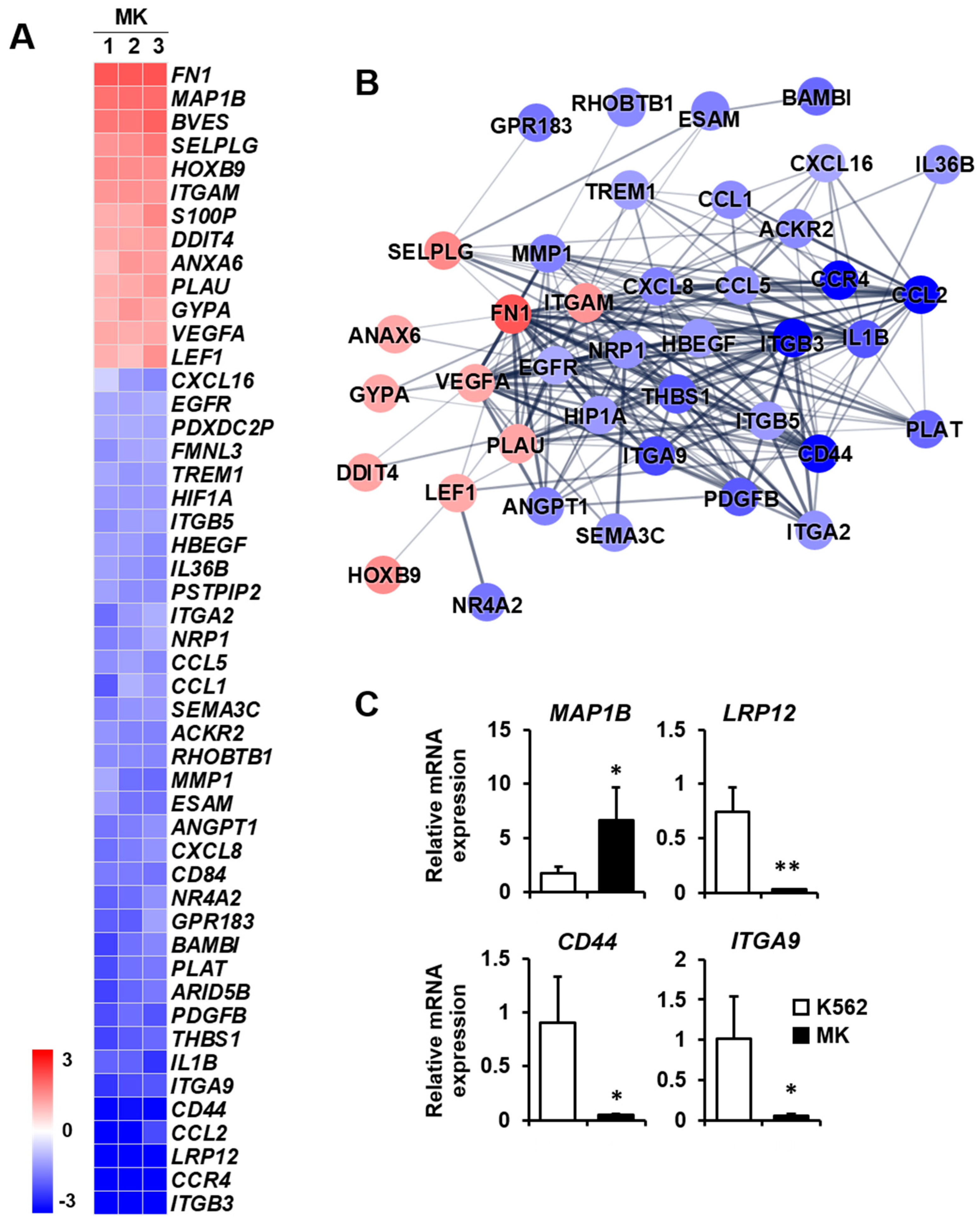 Ijms 23 04221 g005 Ijms 23 04221 g005