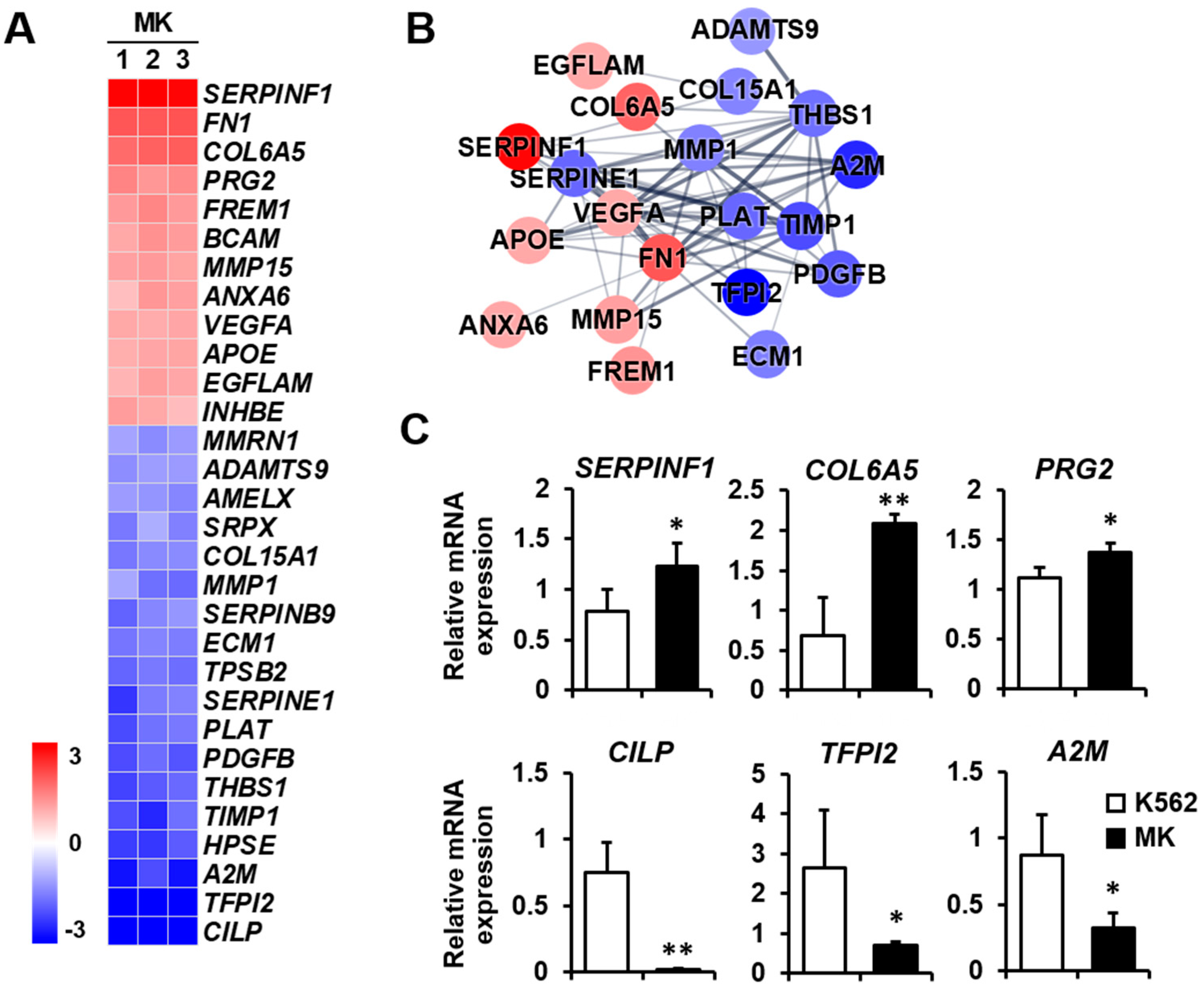Ijms 23 04221 g006 Ijms 23 04221 g006