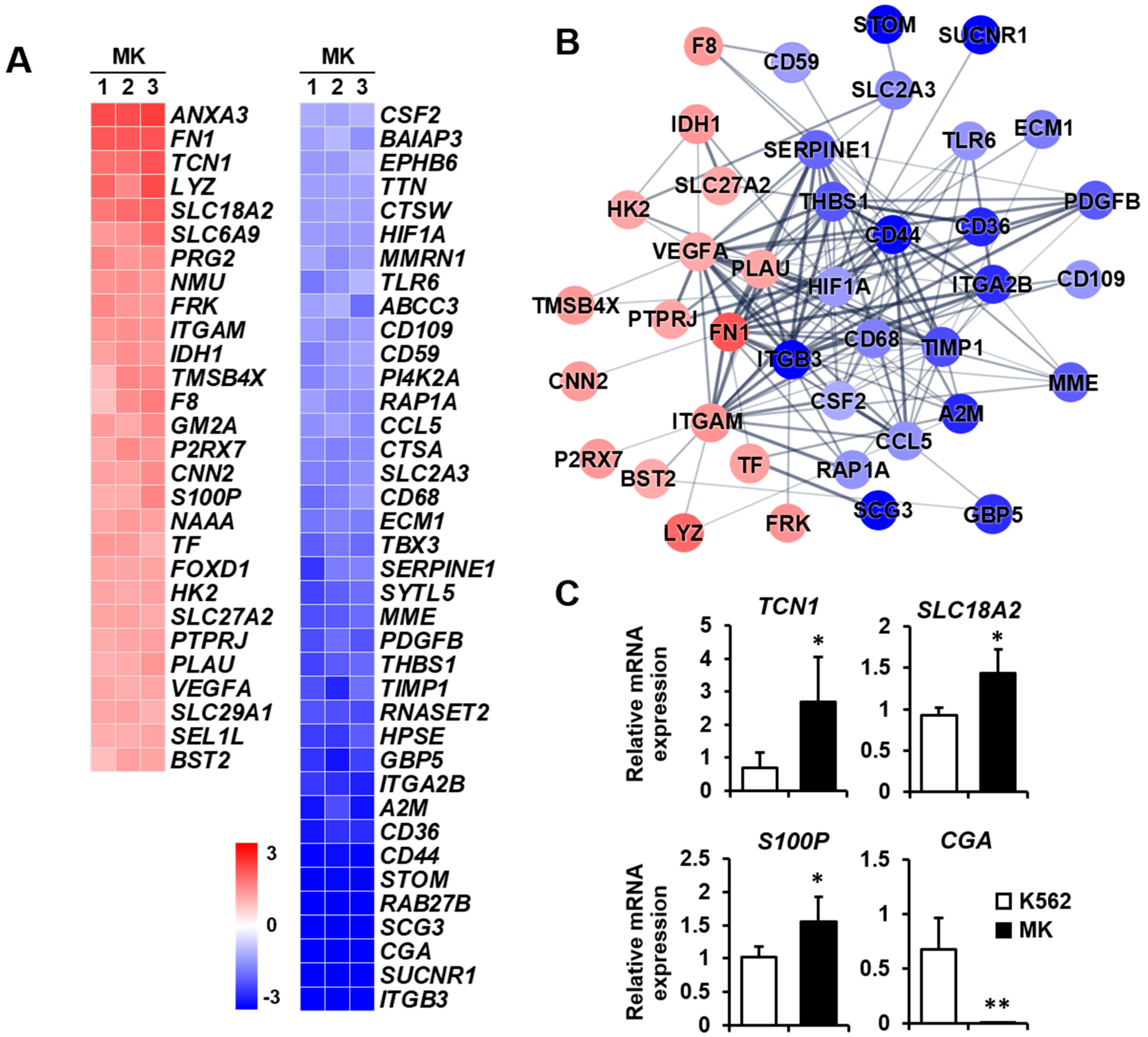 Ijms 23 04221 g007 Ijms 23 04221 g007