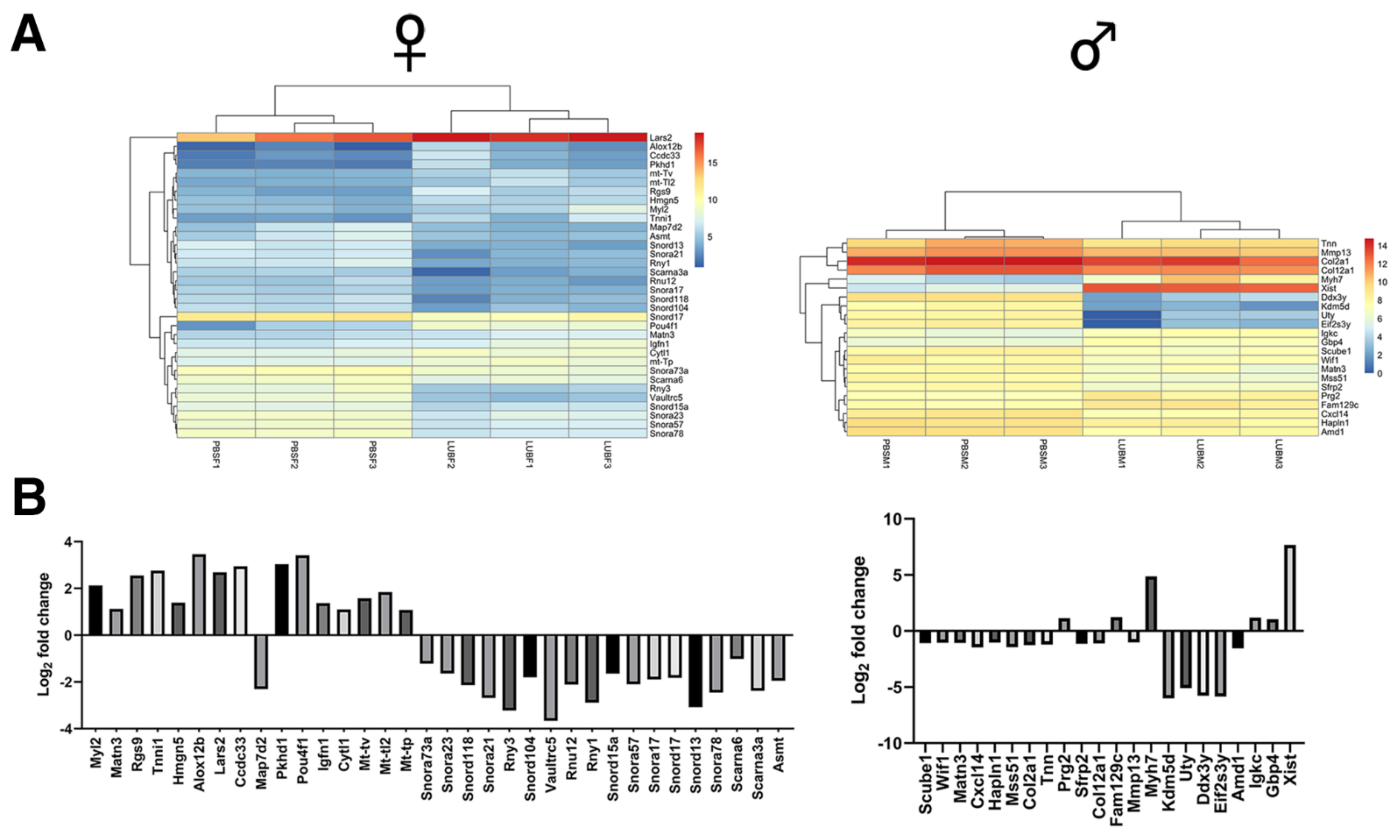 Ijms 23 04245 g002 Ijms 23 04245 g002