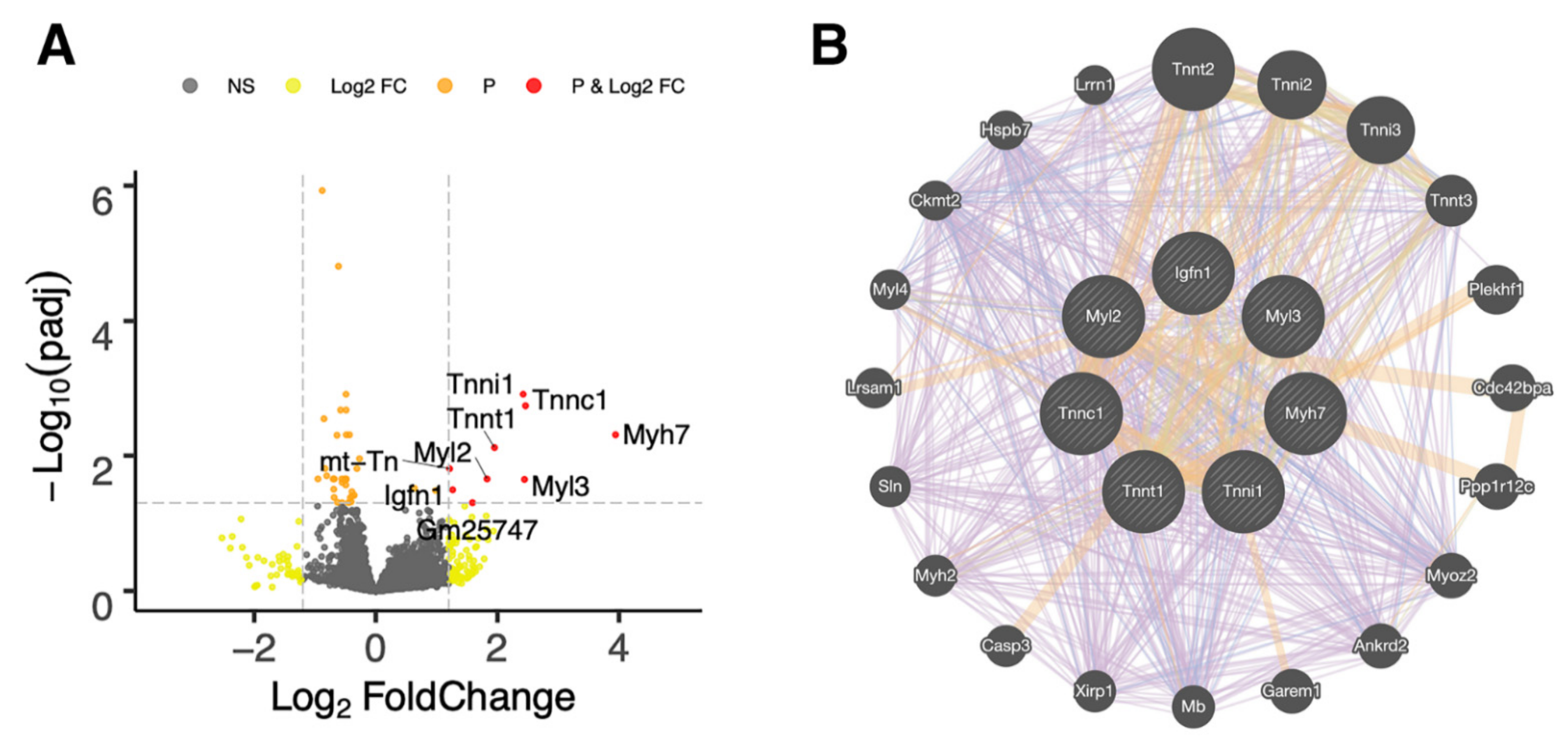 Ijms 23 04245 g003 Ijms 23 04245 g003
