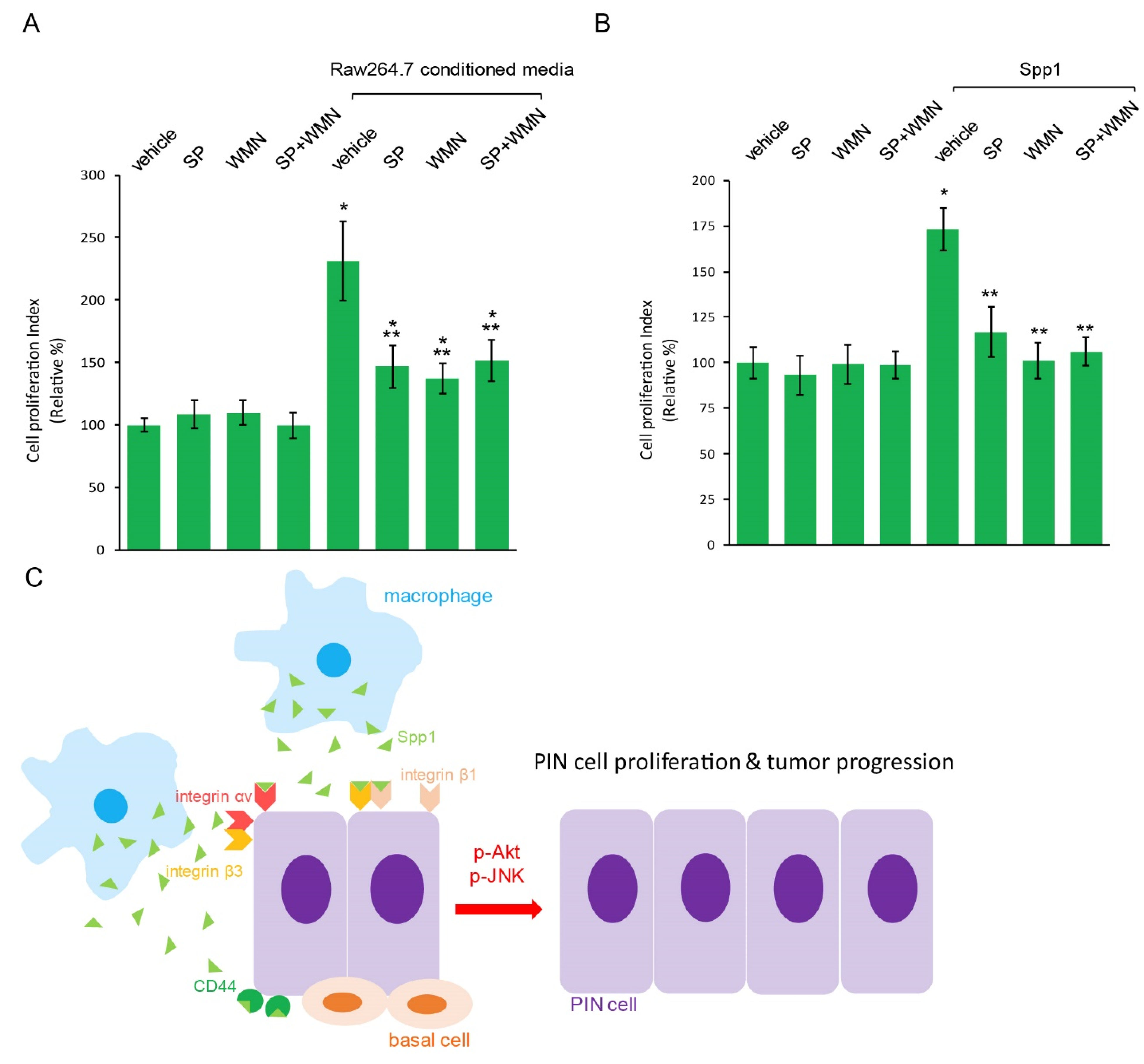 Ijms 23 04247 g005 Ijms 23 04247 g005