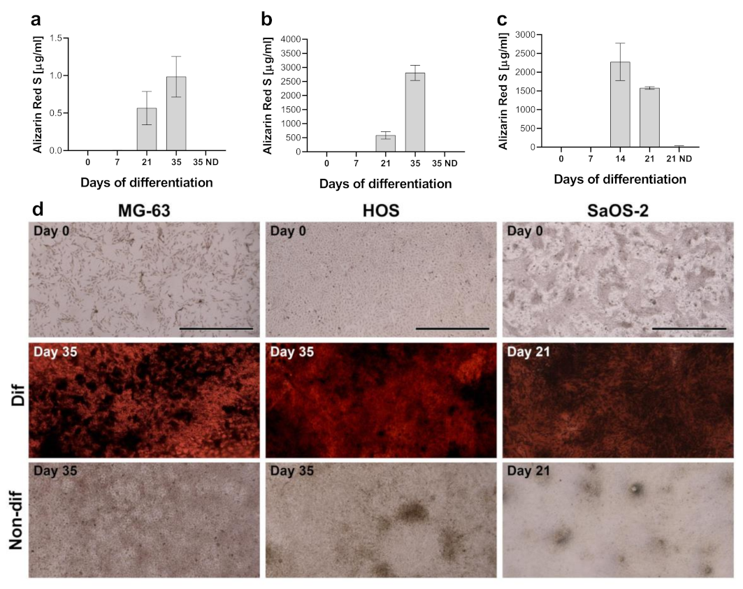 Ijms 23 04257 g001 Ijms 23 04257 g001