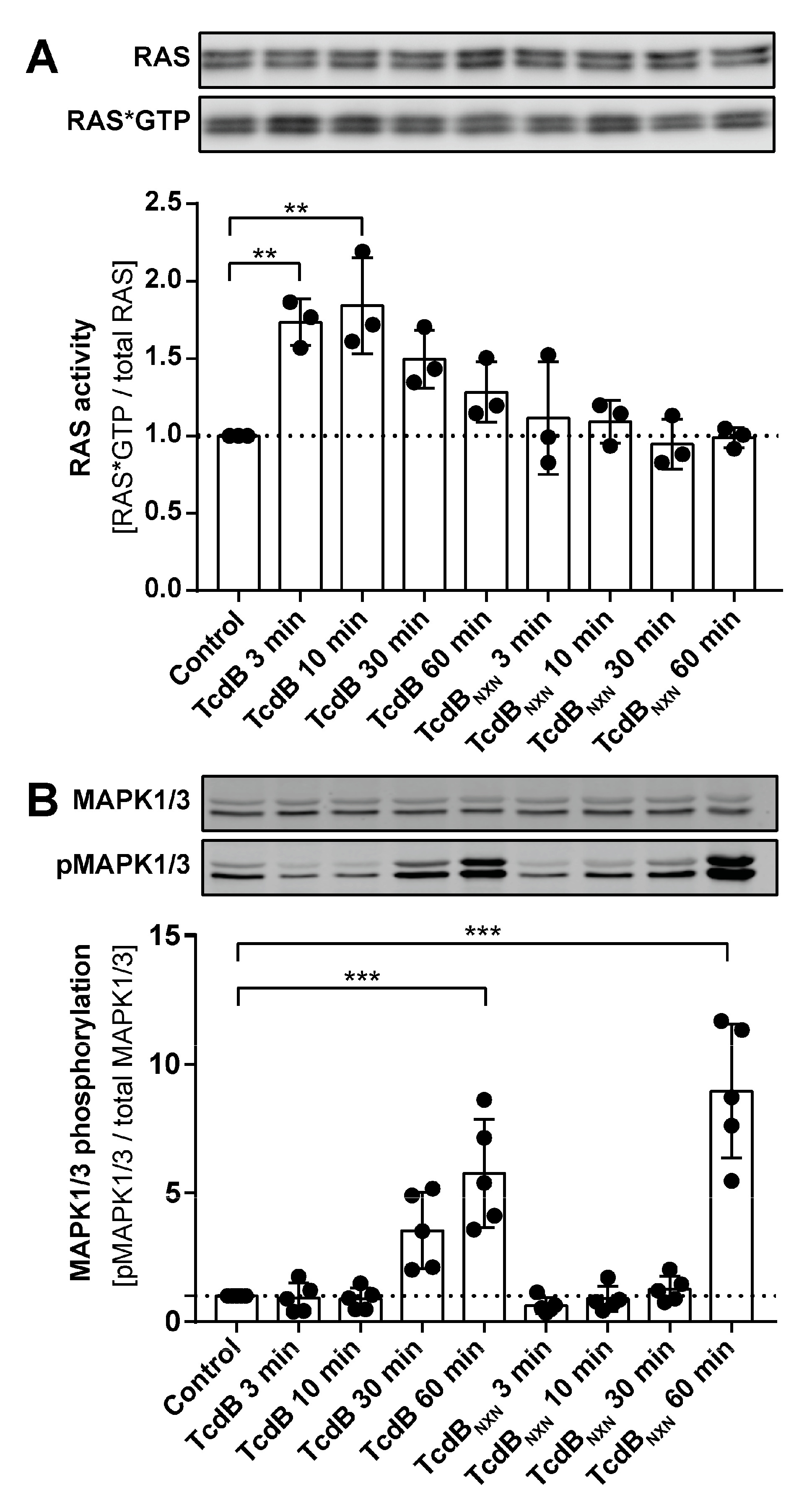 Ijms 23 04258 g005 Ijms 23 04258 g005