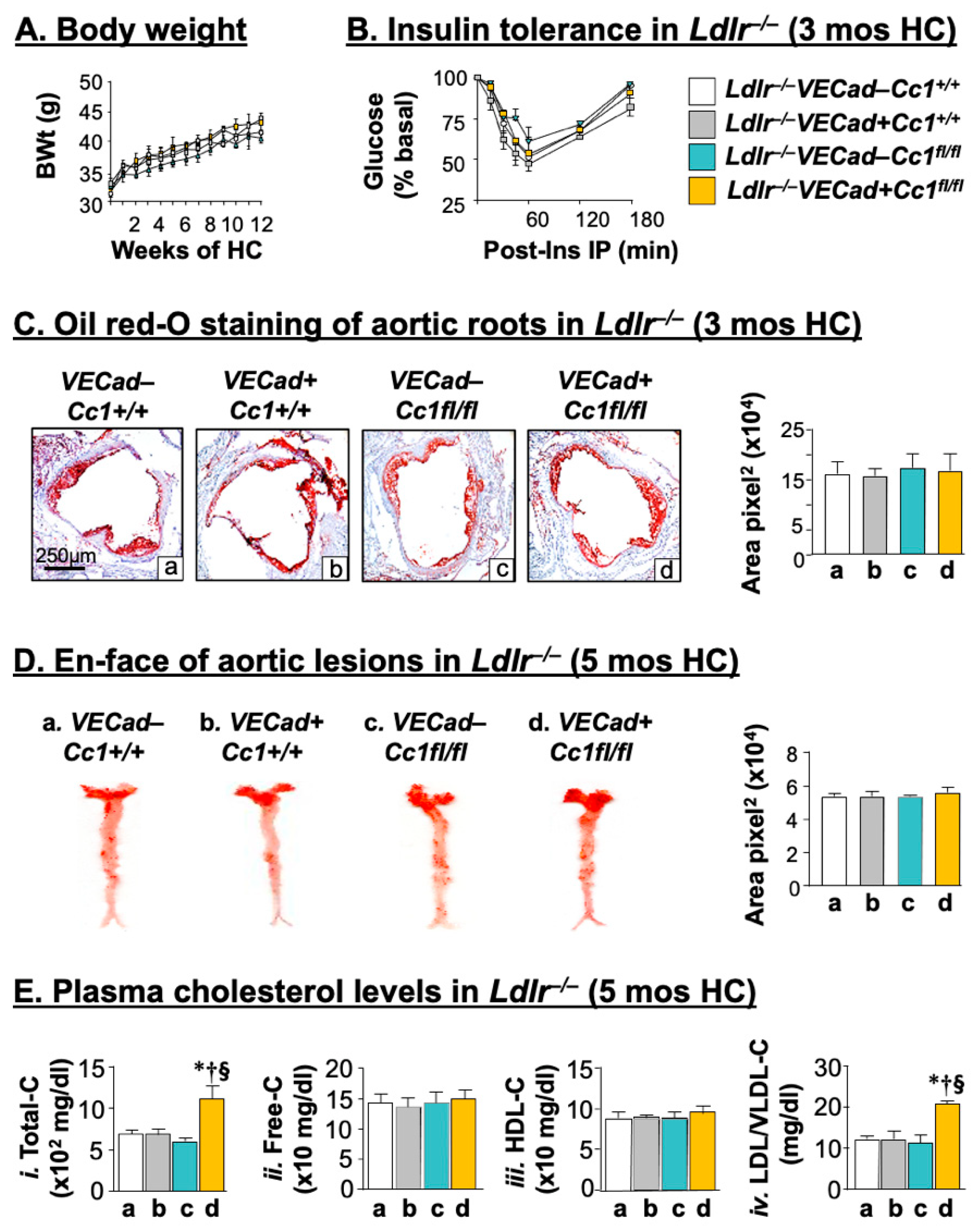 Ijms 23 04335 g001 Ijms 23 04335 g001