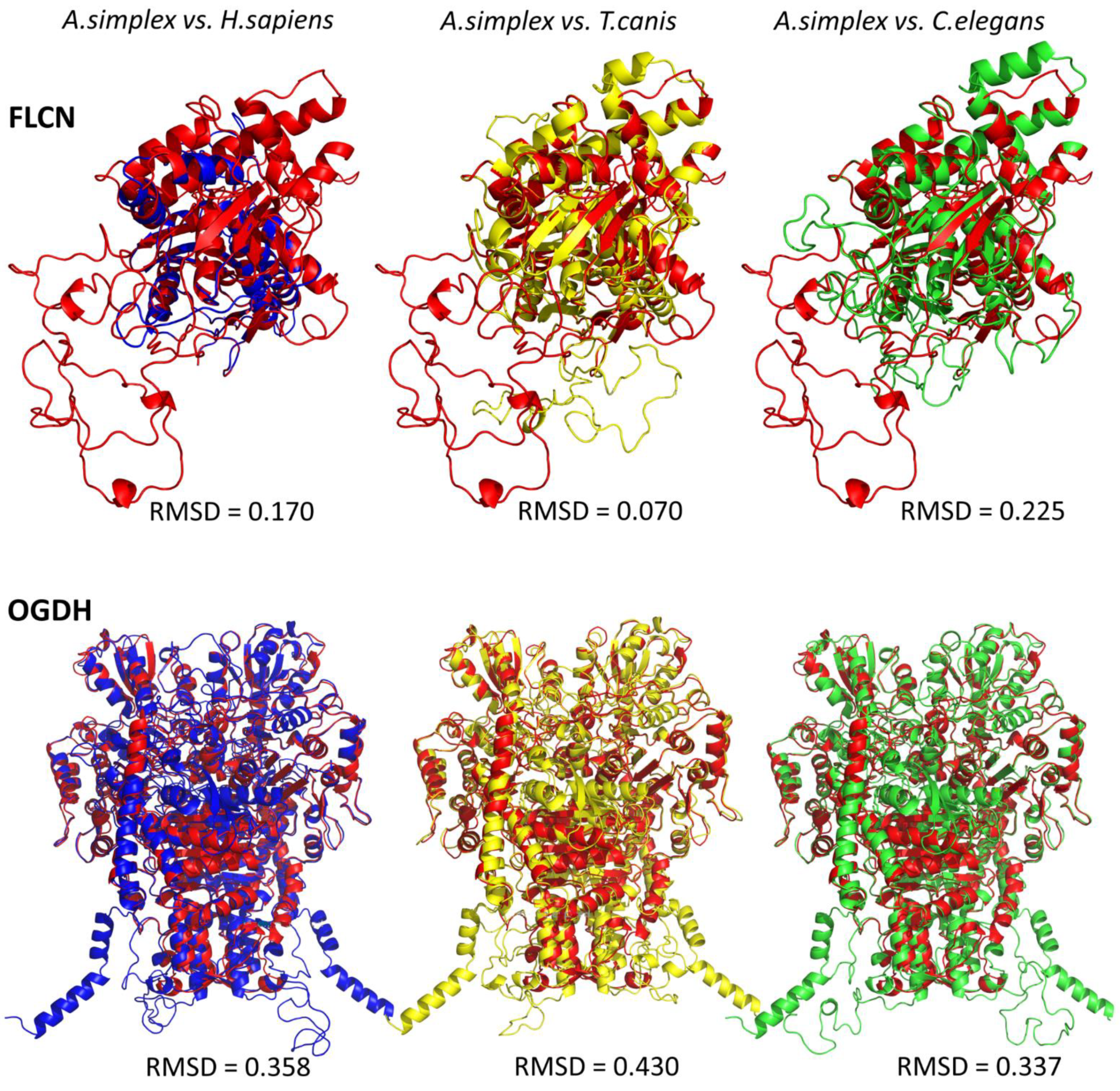 Ijms 23 04336 g005 Ijms 23 04336 g005