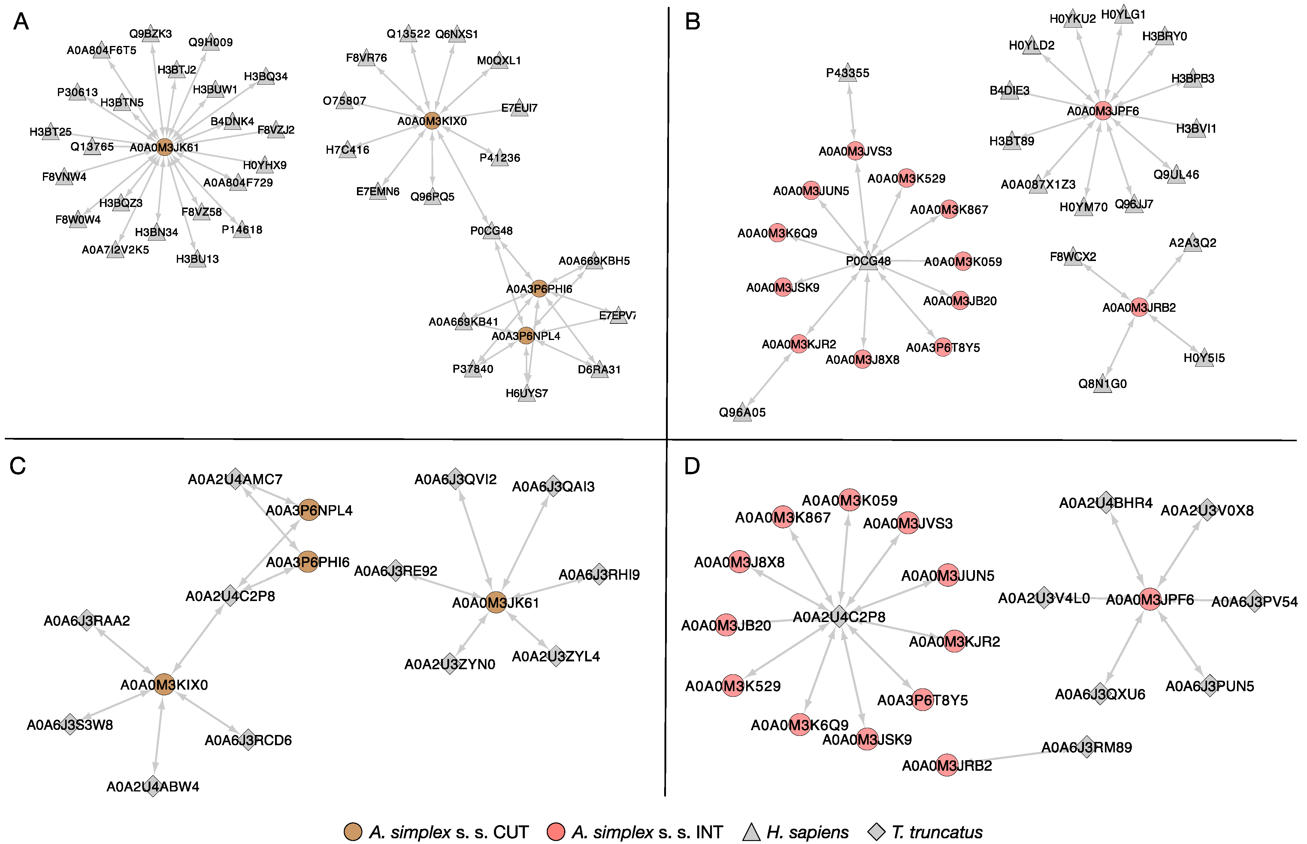 Ijms 23 04336 g007 Ijms 23 04336 g007