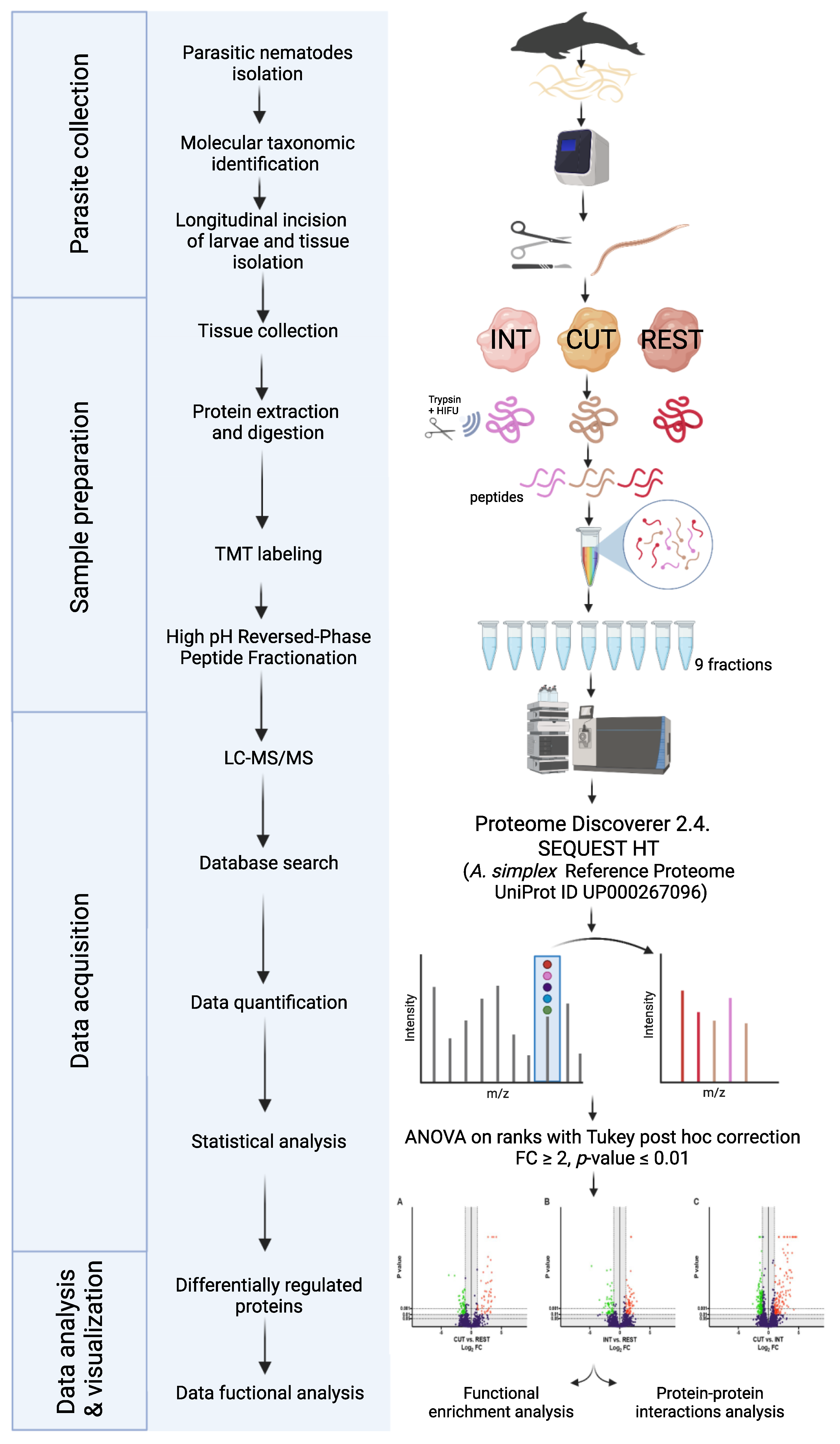 Ijms 23 04336 g009 Ijms 23 04336 g009