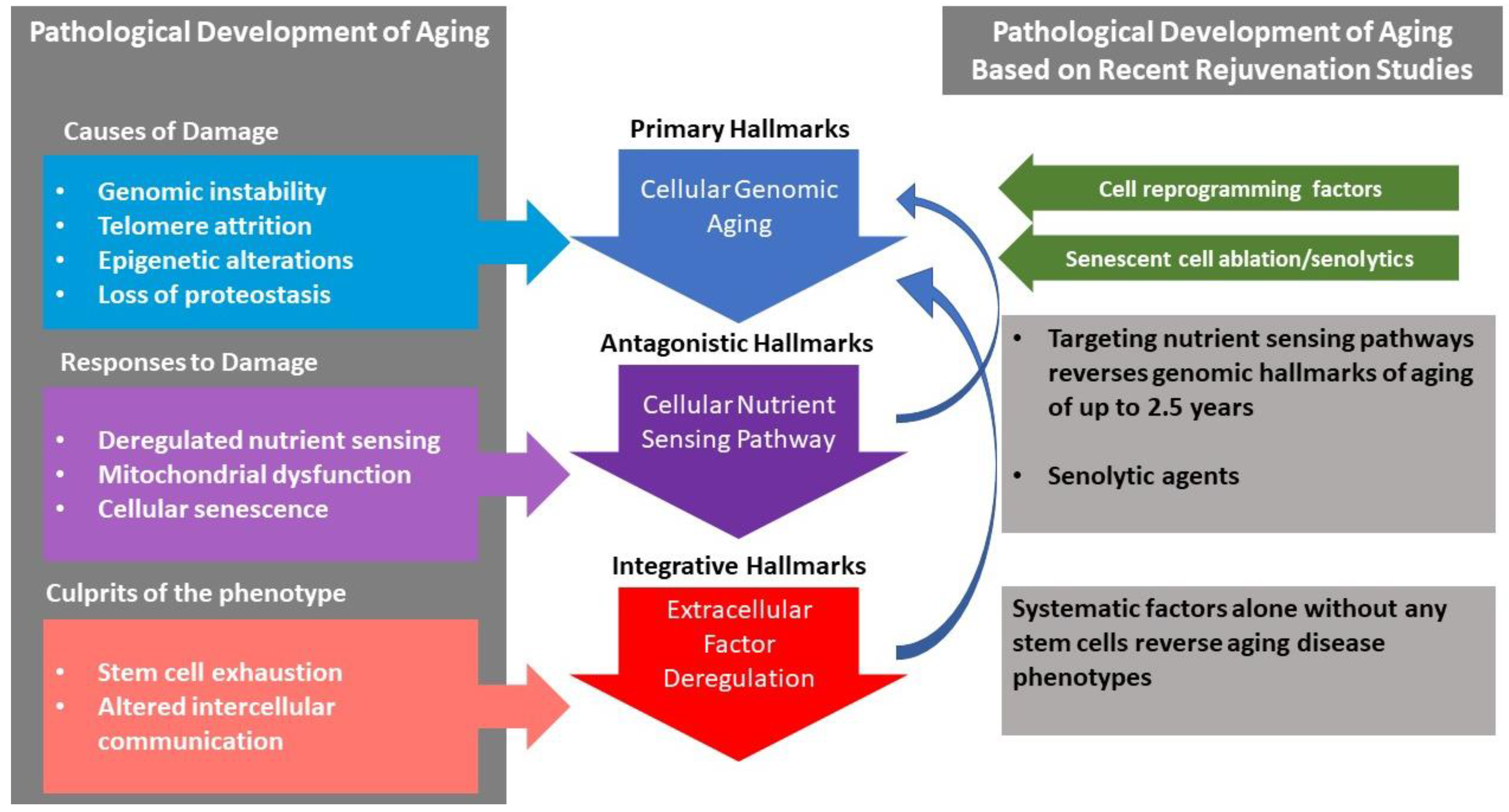 Ijms 23 04338 g002 Ijms 23 04338 g002