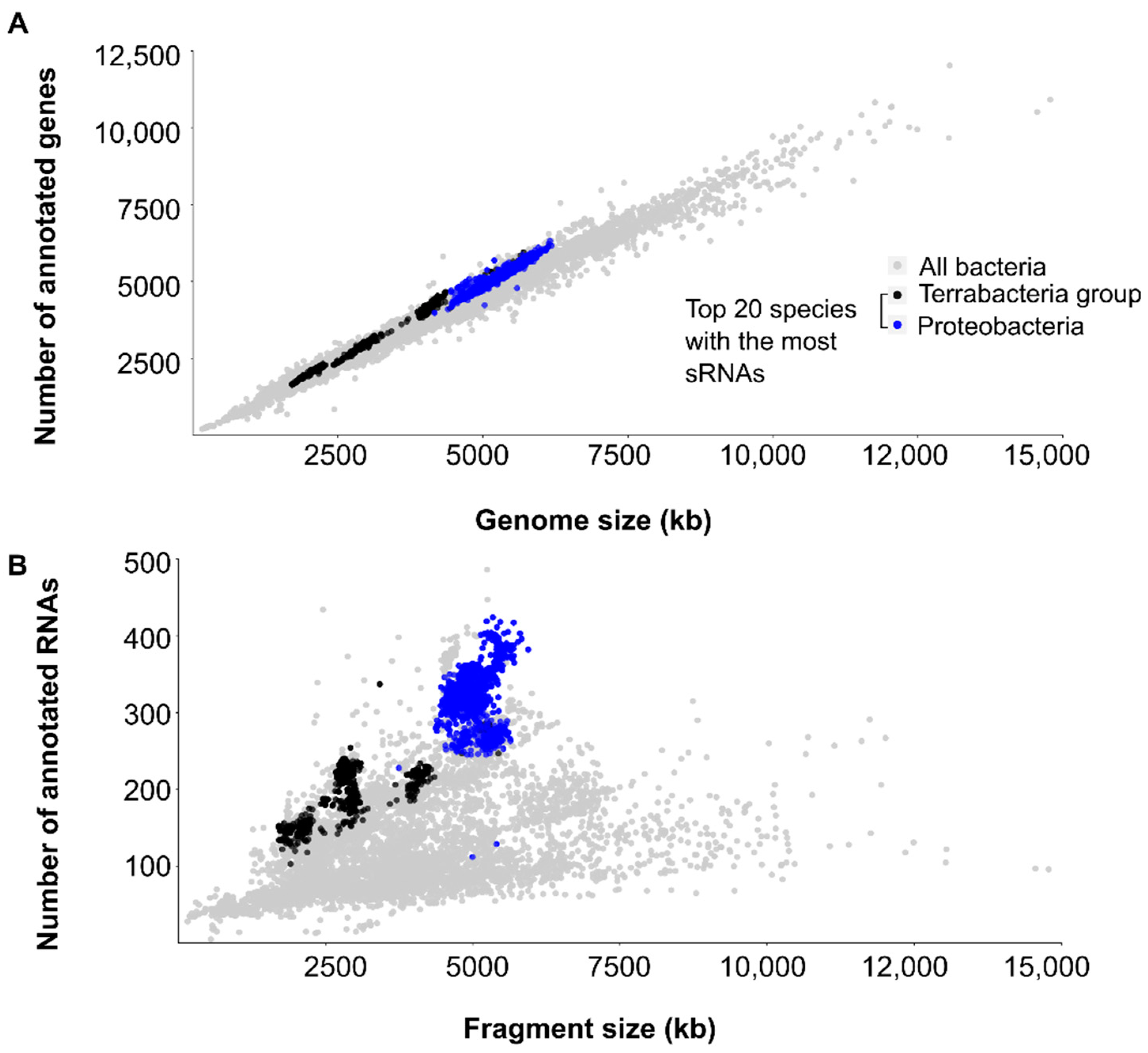 Ijms 23 04448 g004 Ijms 23 04448 g004