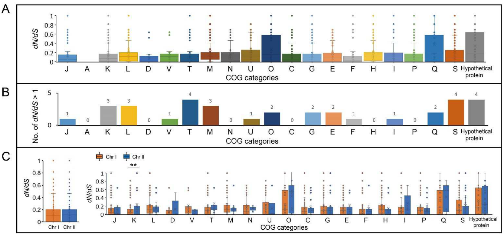 Ijms 23 04520 g004 Ijms 23 04520 g004