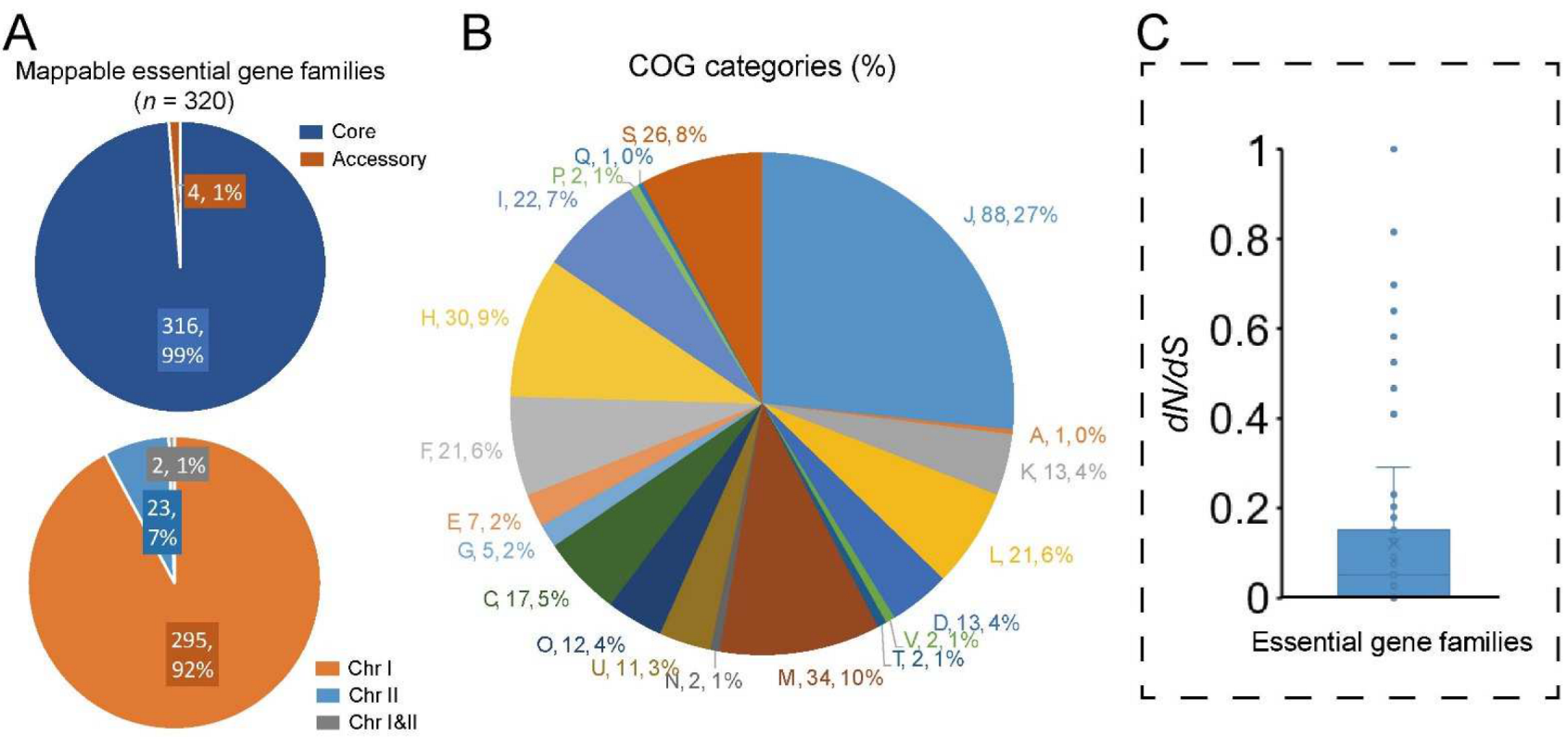 Ijms 23 04520 g005 Ijms 23 04520 g005