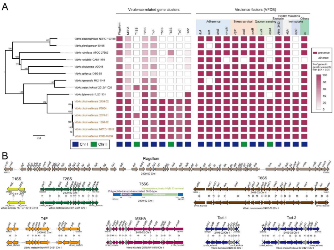 Ijms 23 04520 g008 Ijms 23 04520 g008