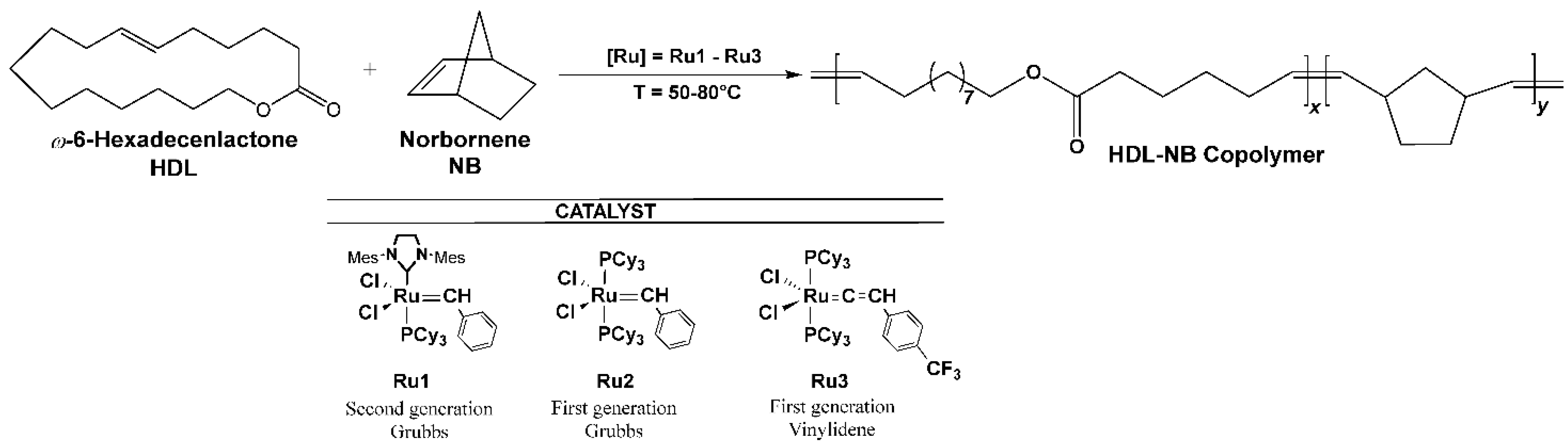 Ijms 23 04521 sch001 Ijms 23 04521 sch001