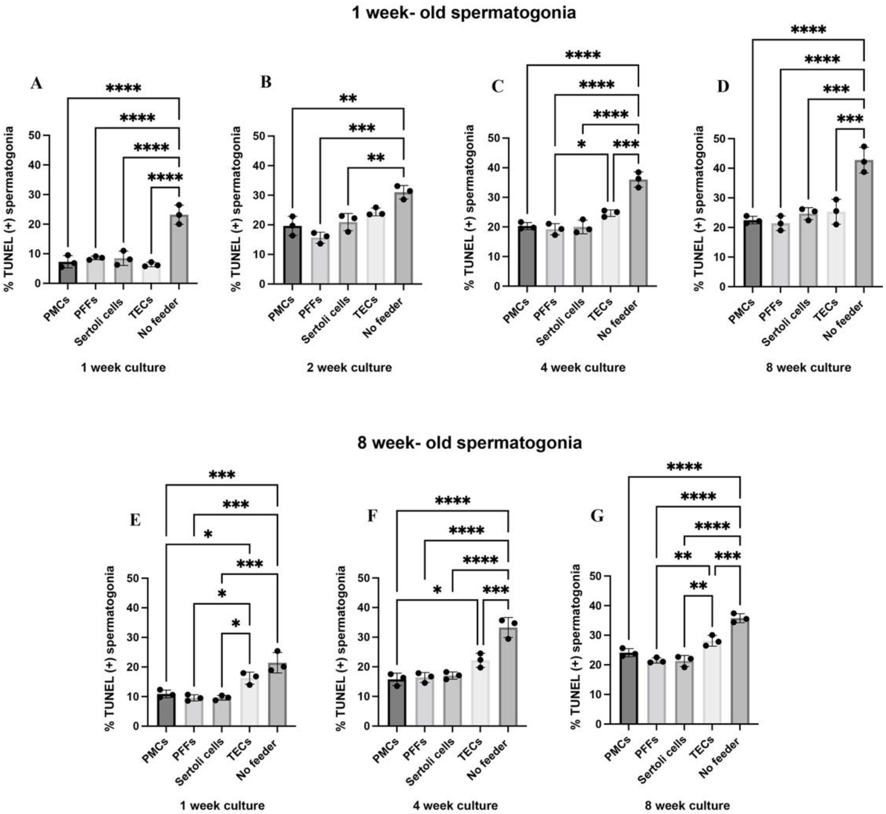 Ijms 23 04535 g003 Ijms 23 04535 g003