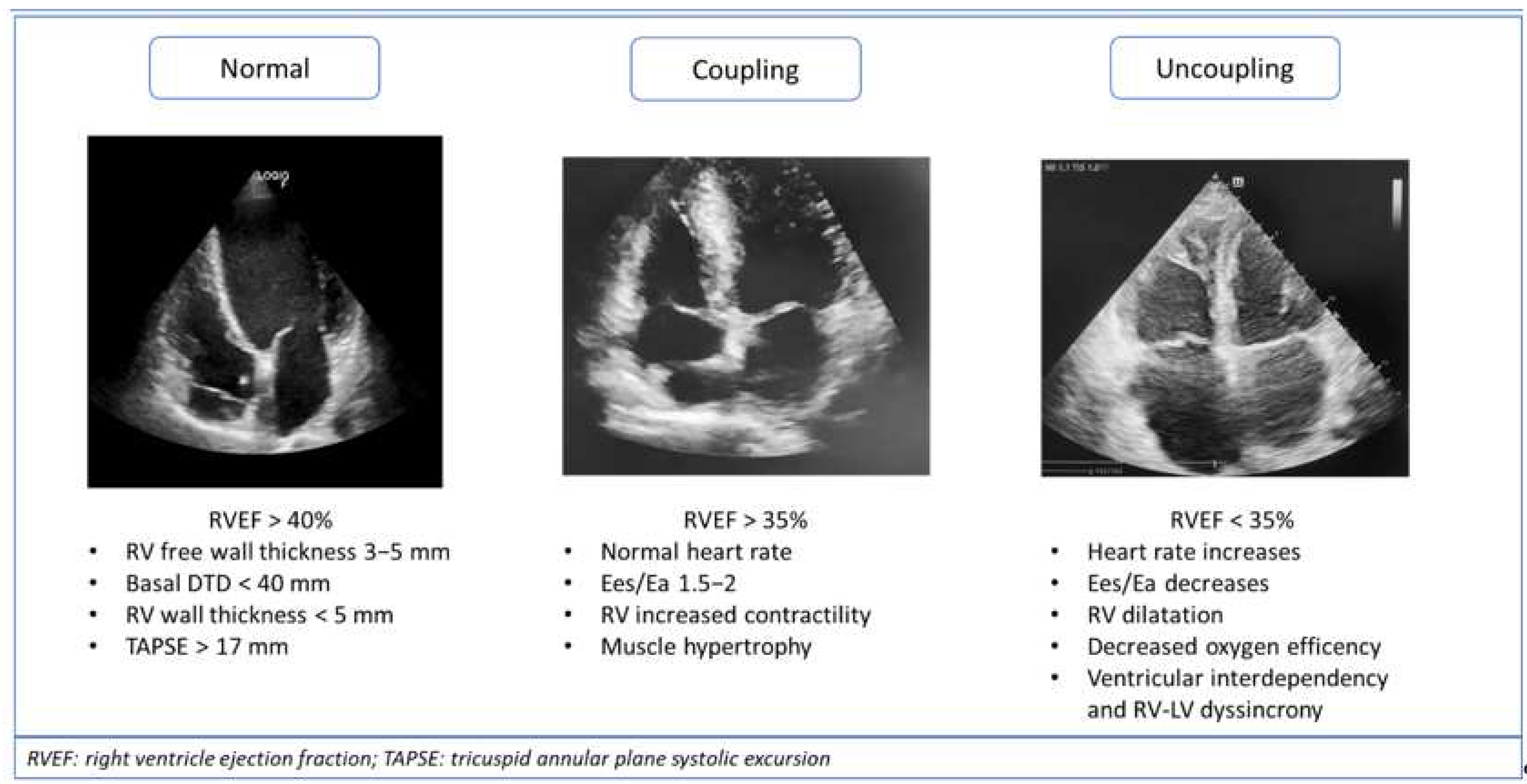 Ijms 23 04554 g002 Ijms 23 04554 g002