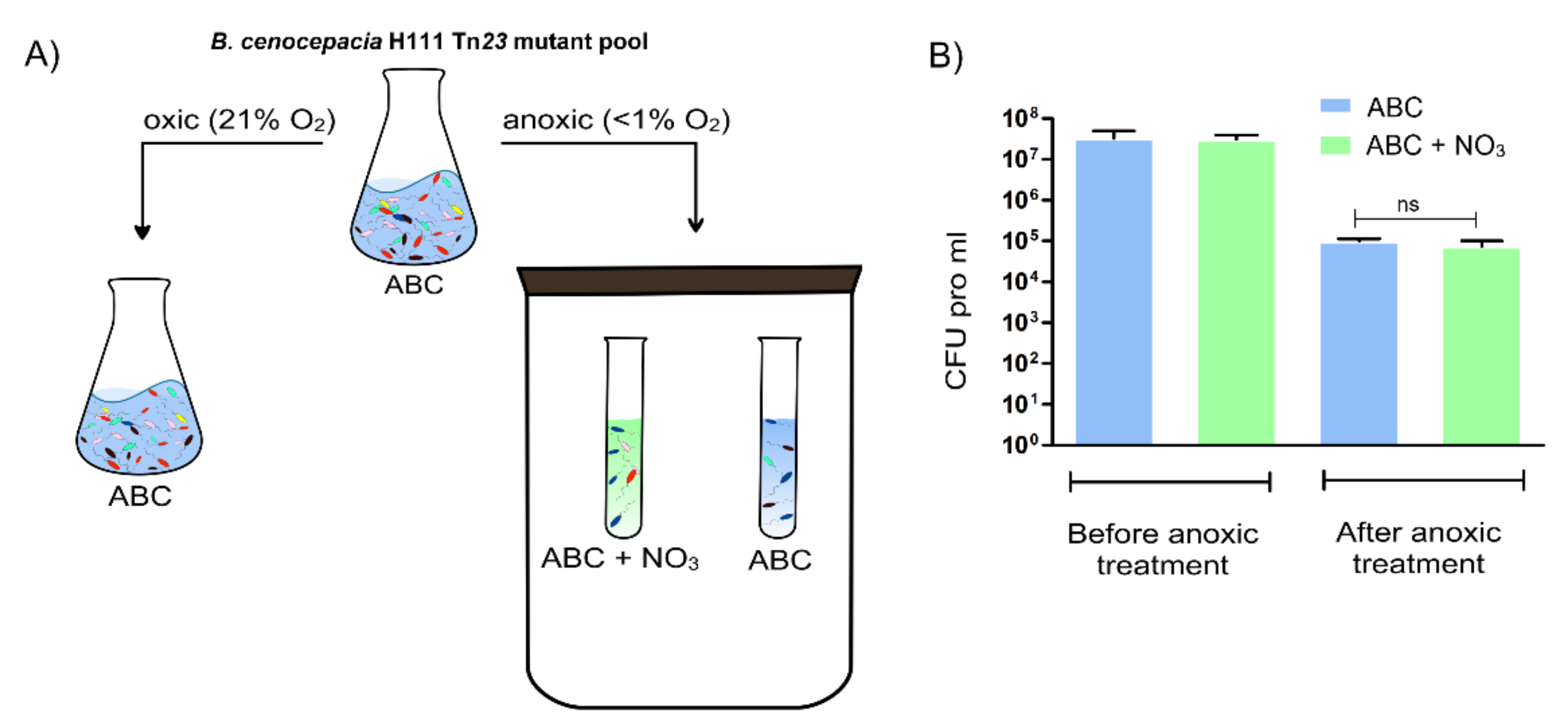 Ijms 23 04560 g001 Ijms 23 04560 g001