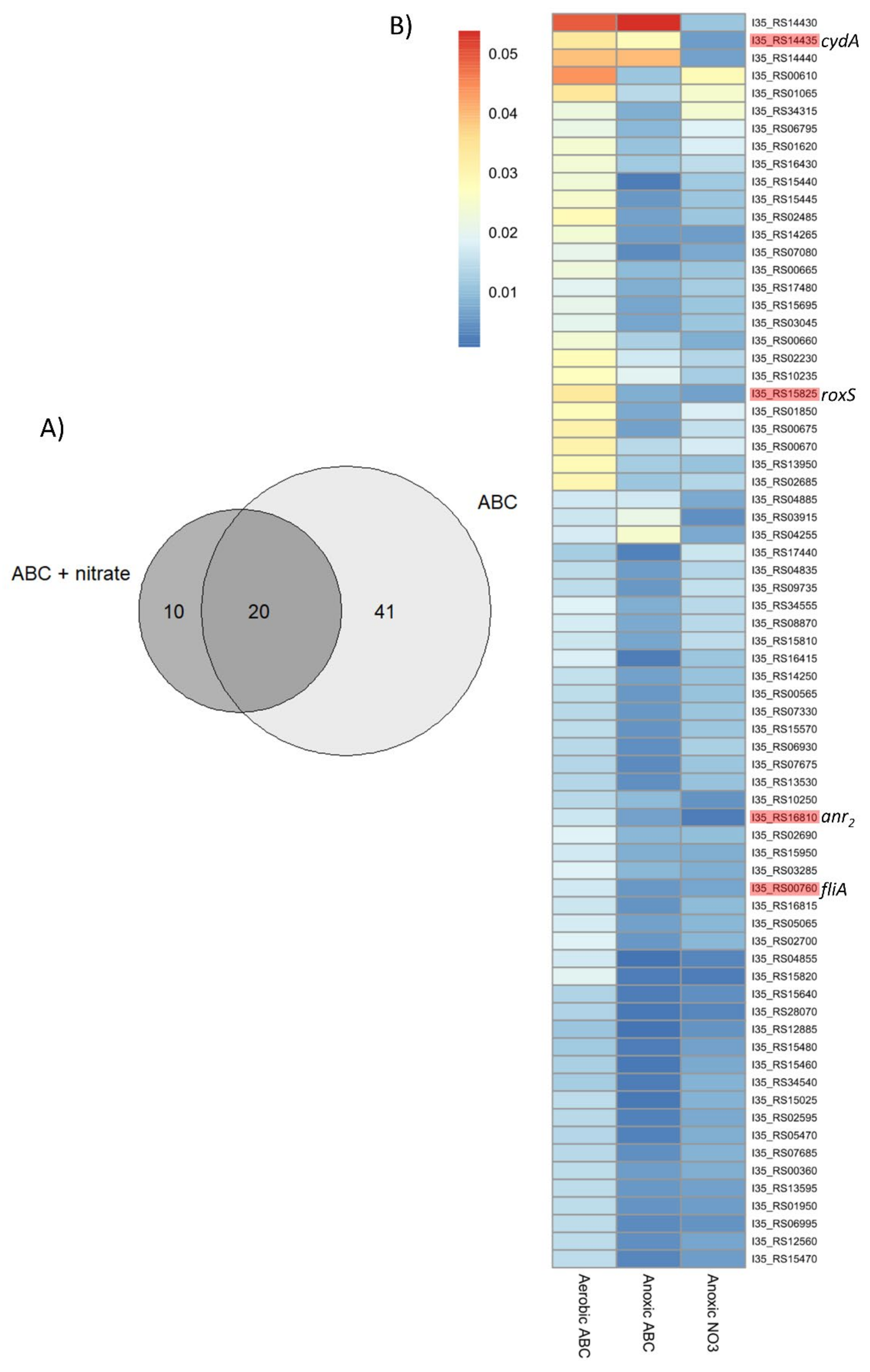 Ijms 23 04560 g002 Ijms 23 04560 g002