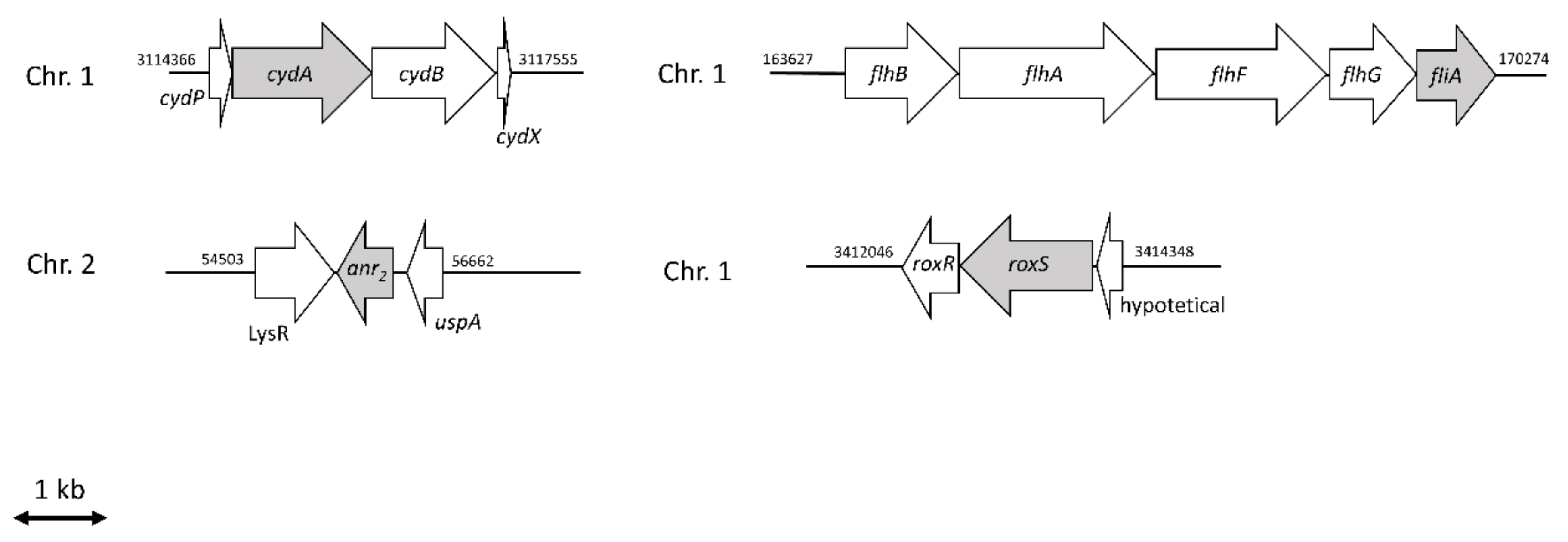 Ijms 23 04560 g003 Ijms 23 04560 g003