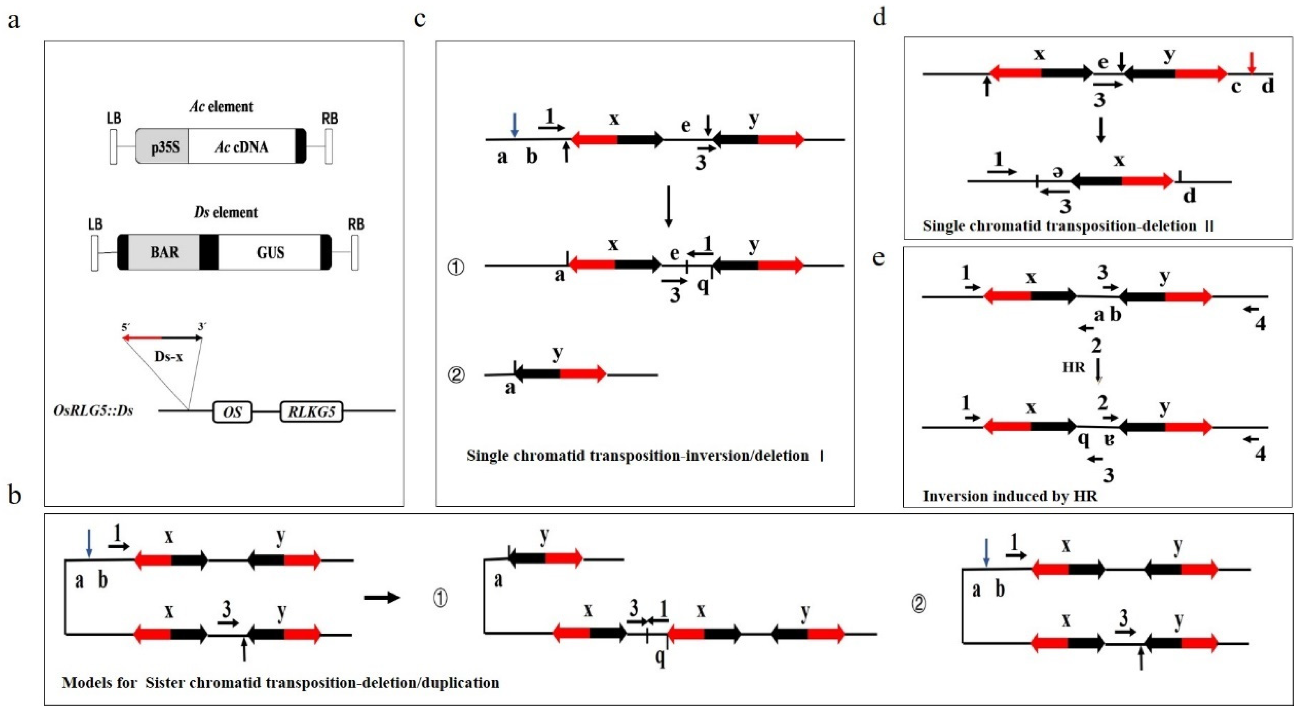 Ijms 23 04561 g001 Ijms 23 04561 g001