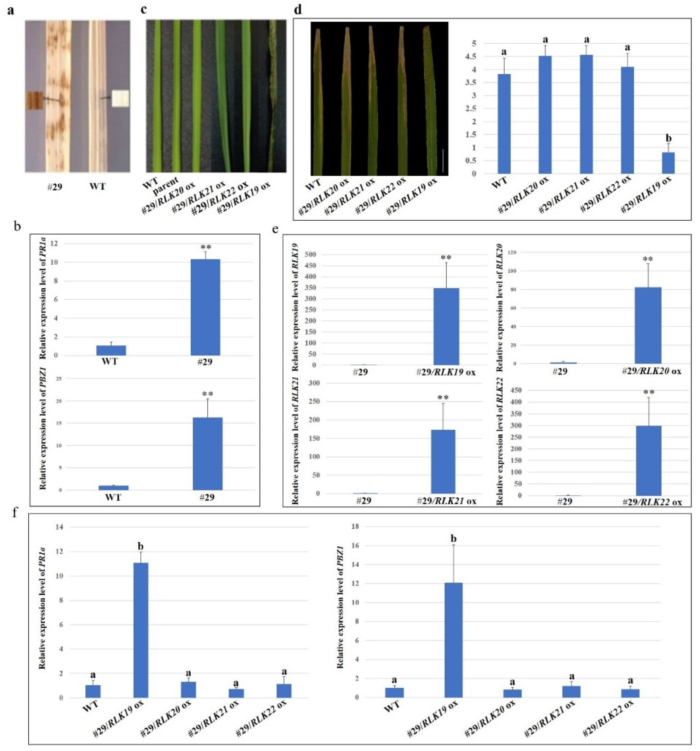 Ijms 23 04561 g003 Ijms 23 04561 g003