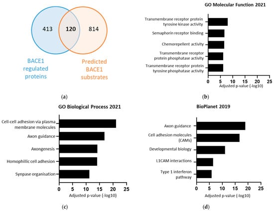 IJMS | Free Full-Text | PTPRD and DCC Are Novel BACE1 Substrates  Differentially Expressed in Alzheimer’s Disease: A Data Mining and  Bioinformatics Study