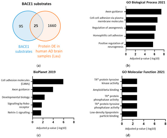 IJMS | Free Full-Text | PTPRD and DCC Are Novel BACE1 Substrates  Differentially Expressed in Alzheimer’s Disease: A Data Mining and  Bioinformatics Study