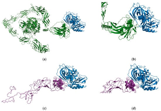 IJMS | Free Full-Text | PTPRD and DCC Are Novel BACE1 Substrates  Differentially Expressed in Alzheimer’s Disease: A Data Mining and  Bioinformatics Study