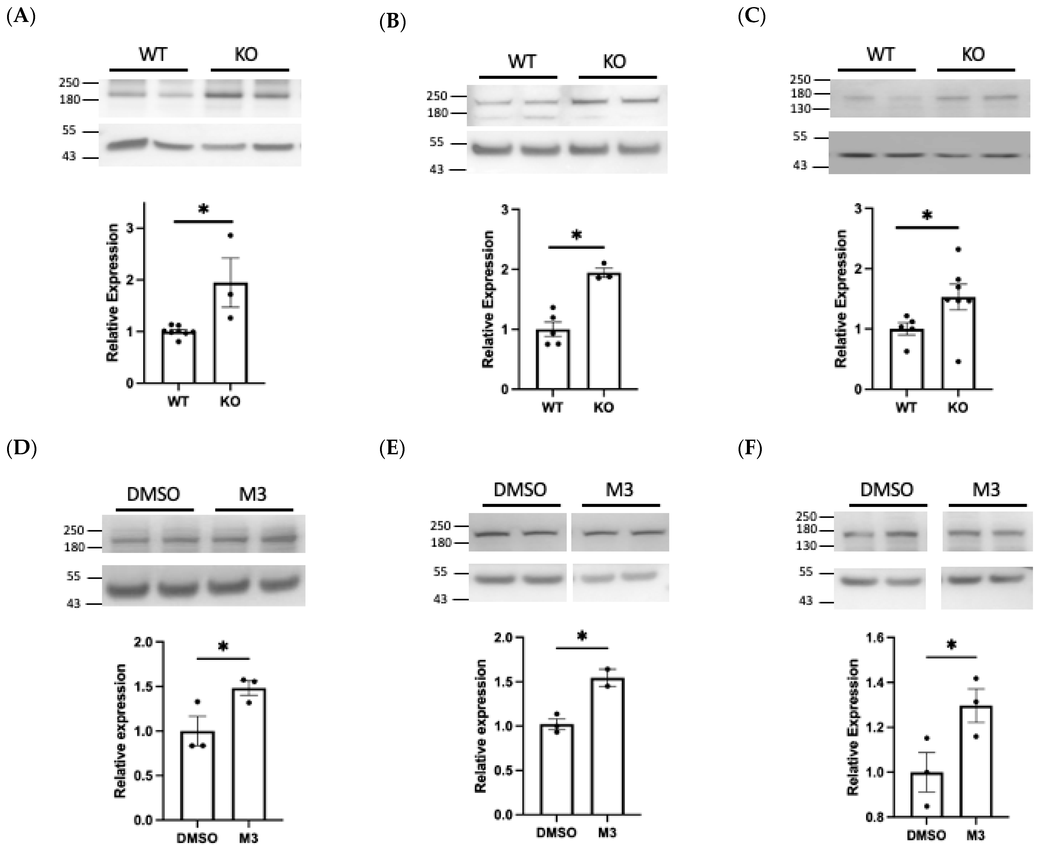 IJMS | Free Full-Text | PTPRD and DCC Are Novel BACE1 Substrates  Differentially Expressed in Alzheimer’s Disease: A Data Mining and  Bioinformatics Study