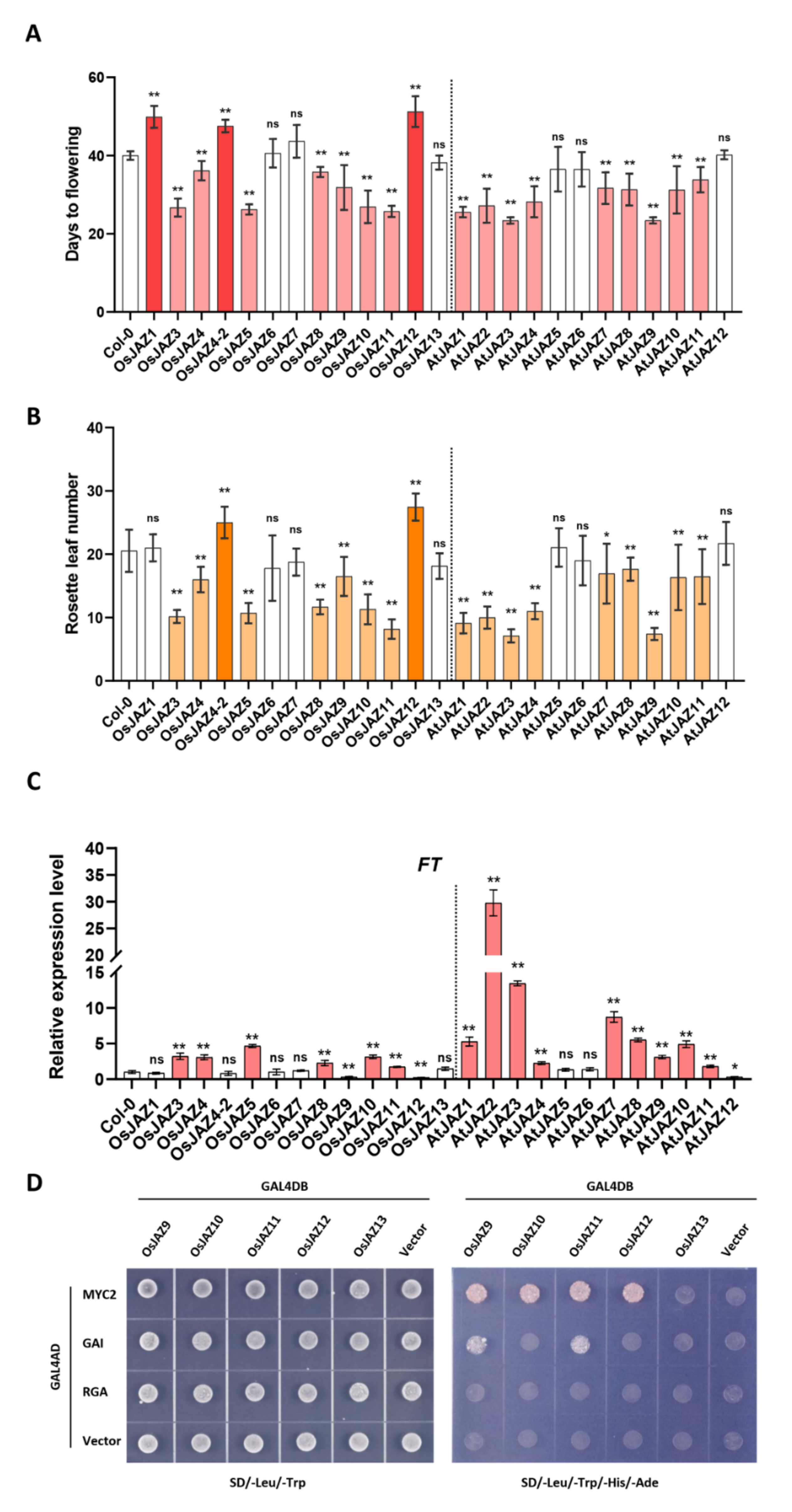 Ijms 23 04581 g001 Ijms 23 04581 g001