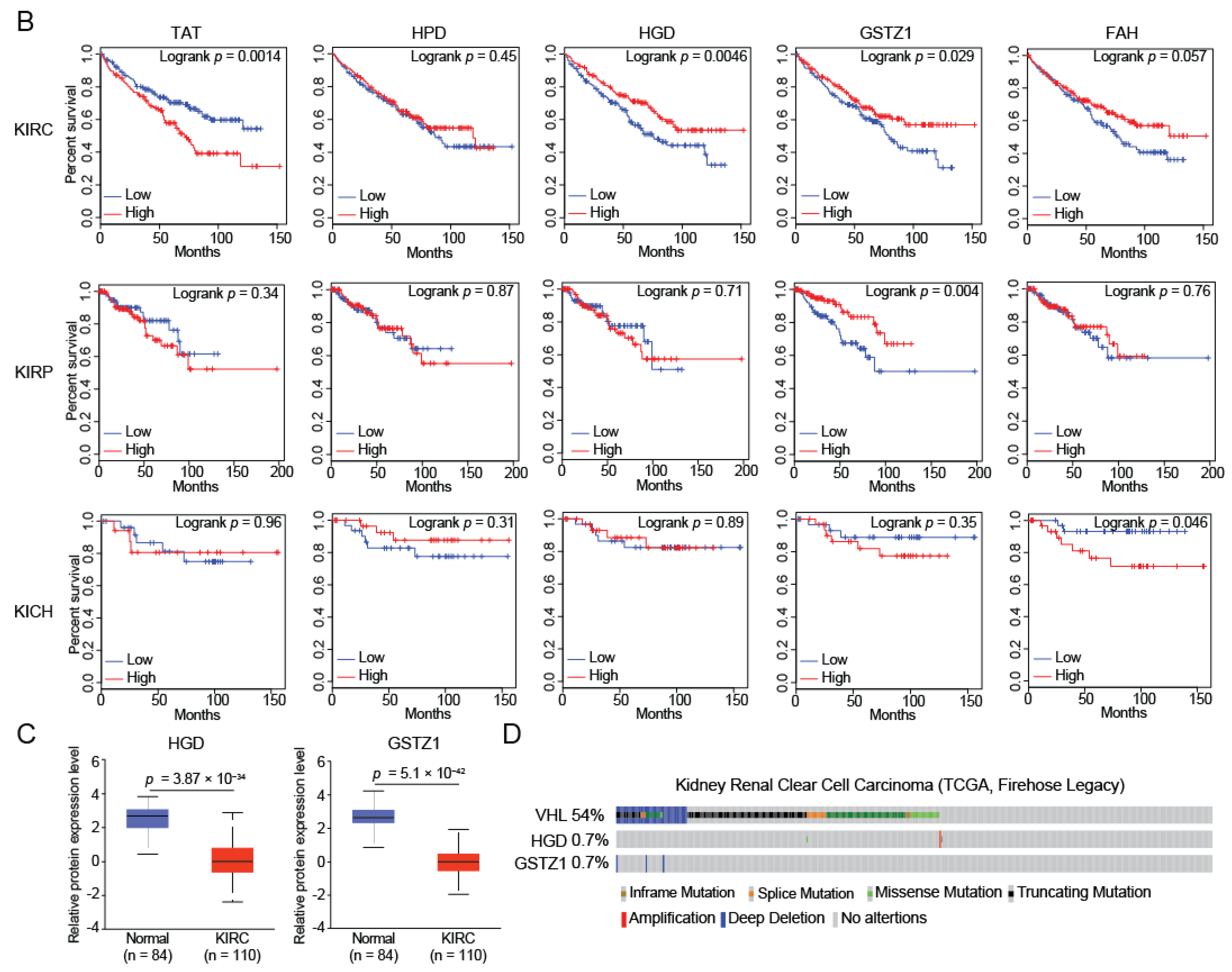 Ijms 23 04583 g001b Ijms 23 04583 g001b